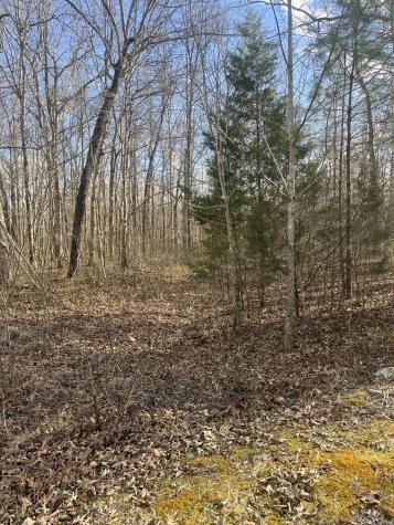 0 Boyton Valley Road Manchester TN 37355