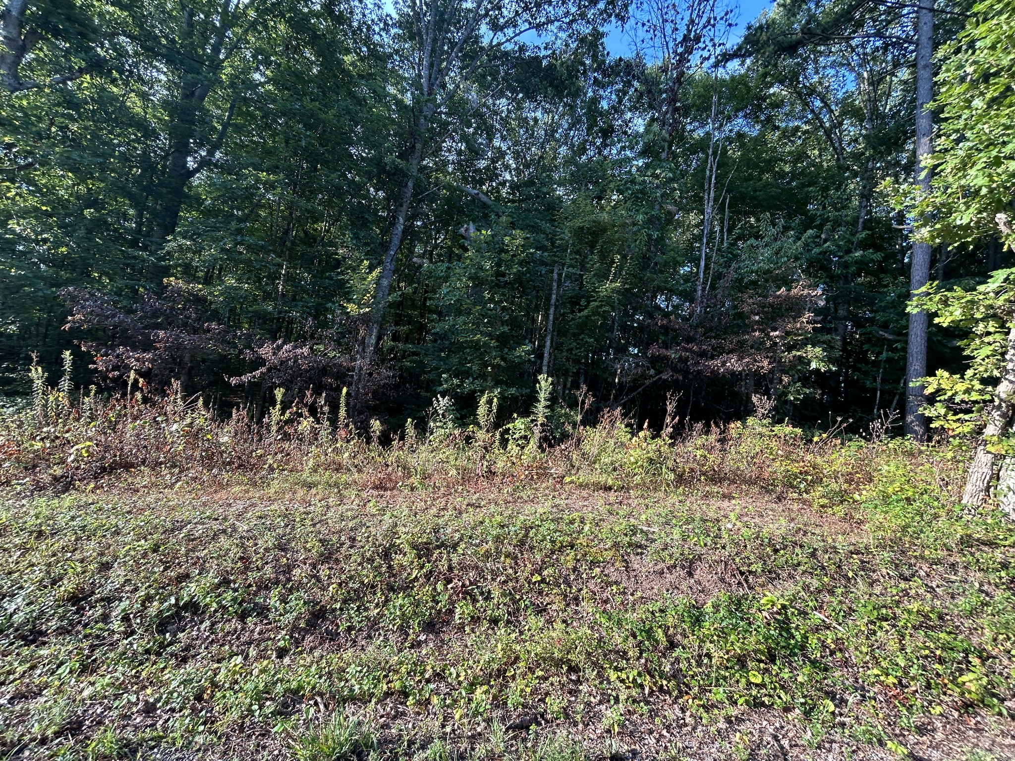 0 Panther Branch Road Jamestown TN 38556