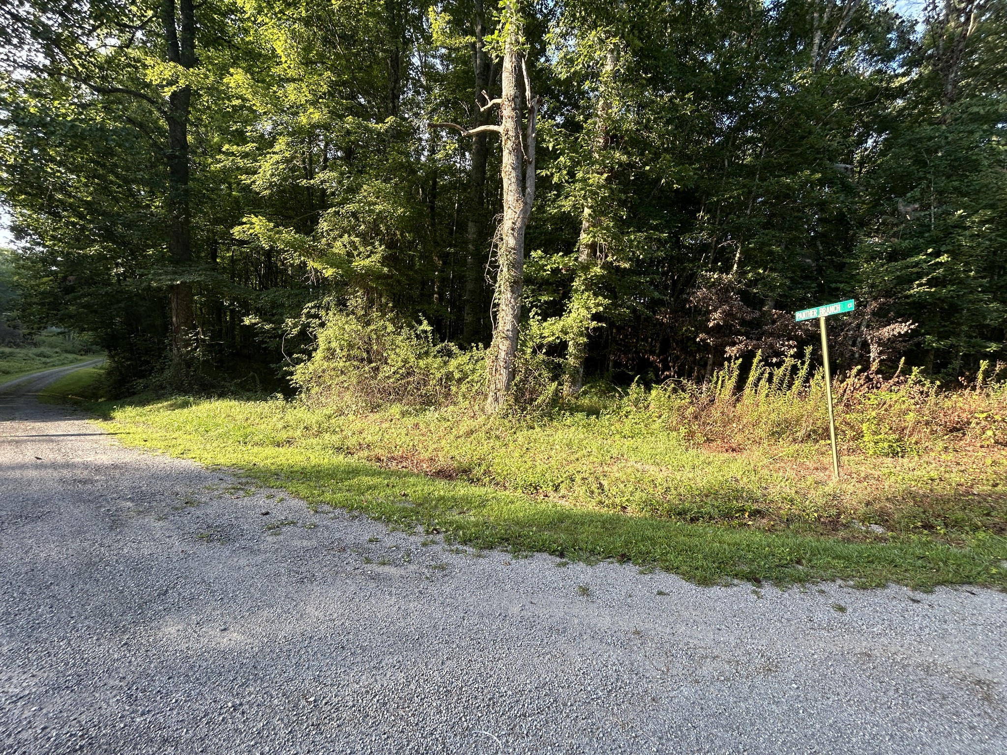 0 Panther Branch Road Jamestown TN 38556