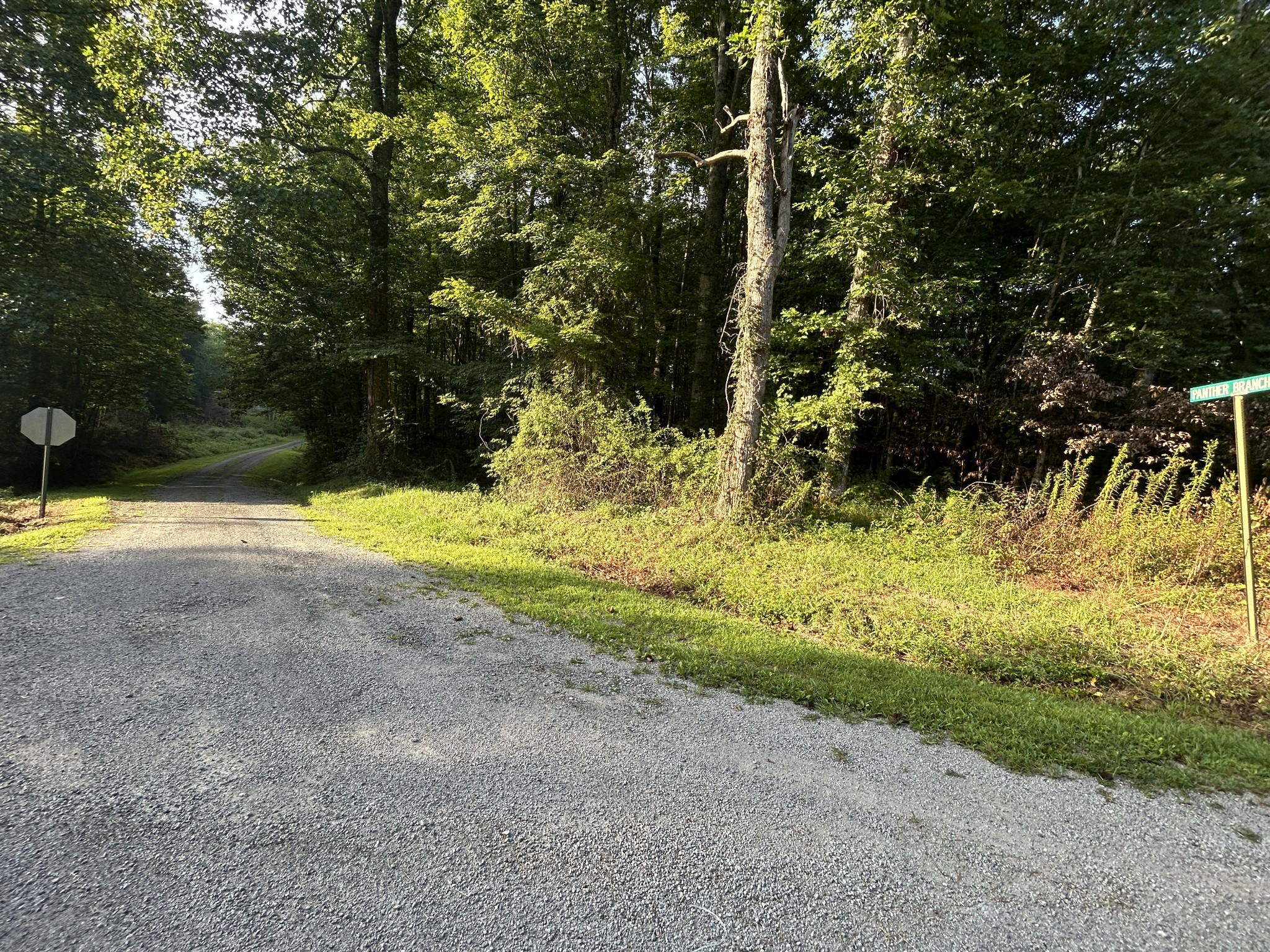 0 Panther Branch Road Jamestown TN 38556