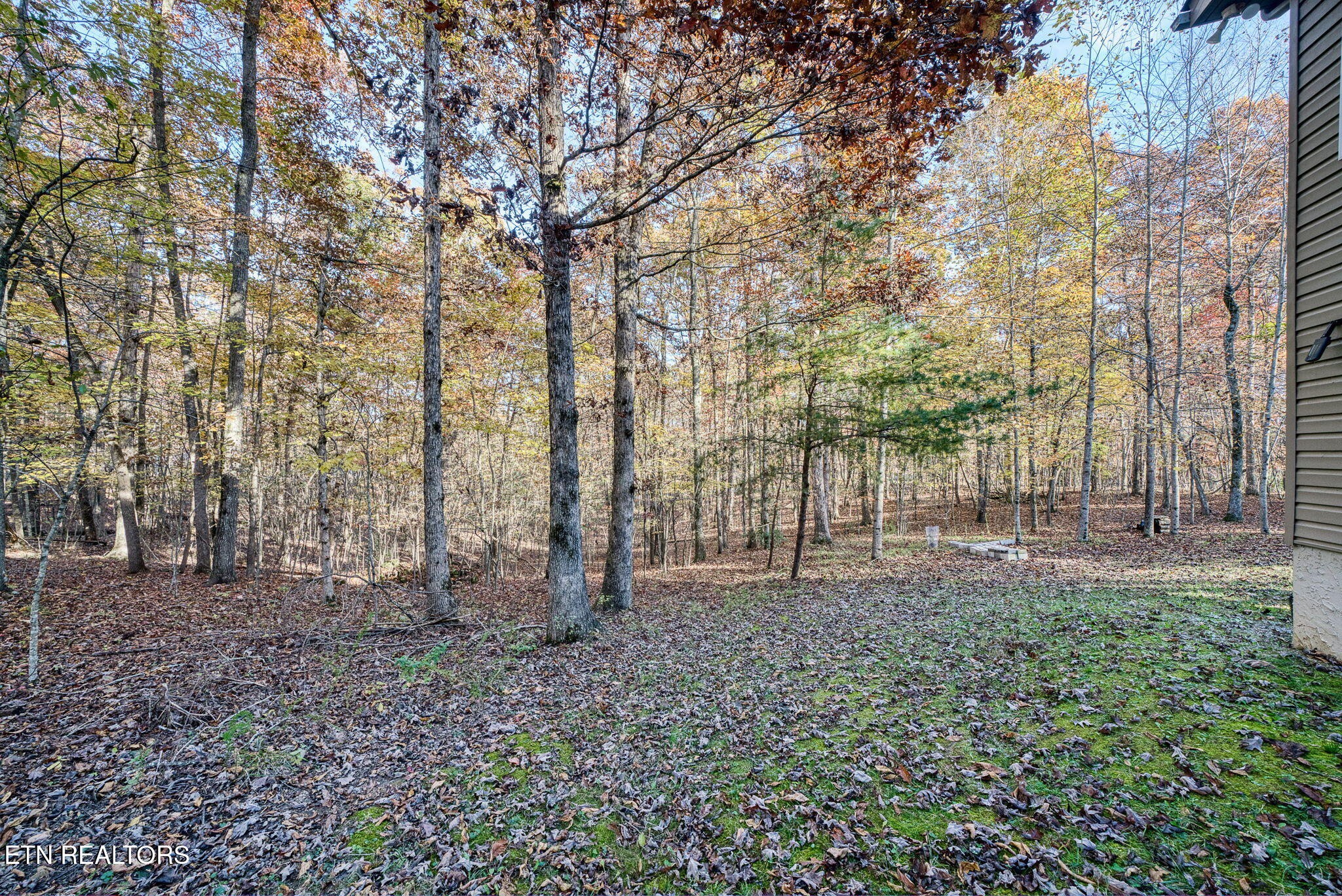 1013 Pahue Drive Crossville TN 38572