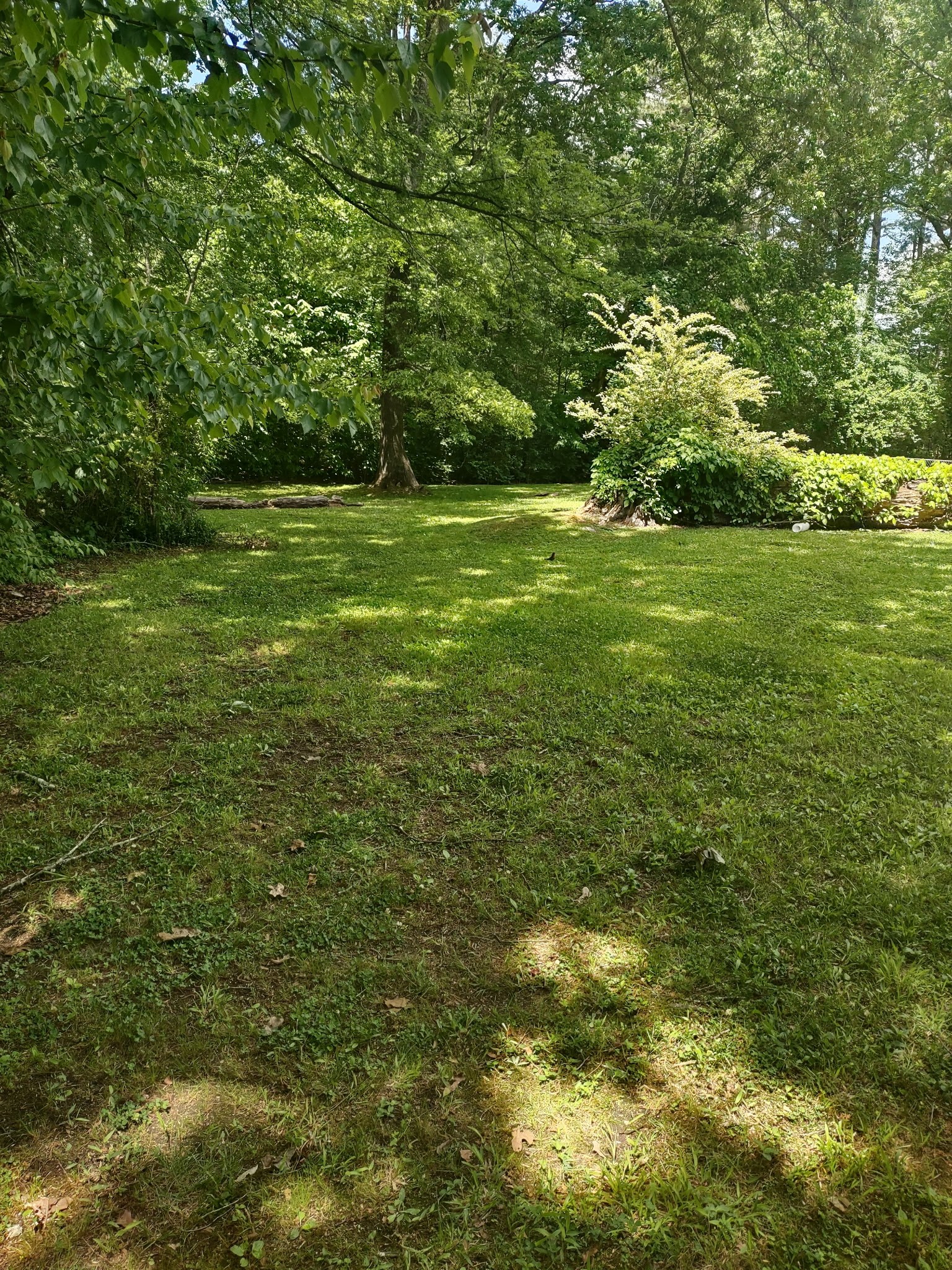 207 Tulsa Avenue Tullahoma TN 37388