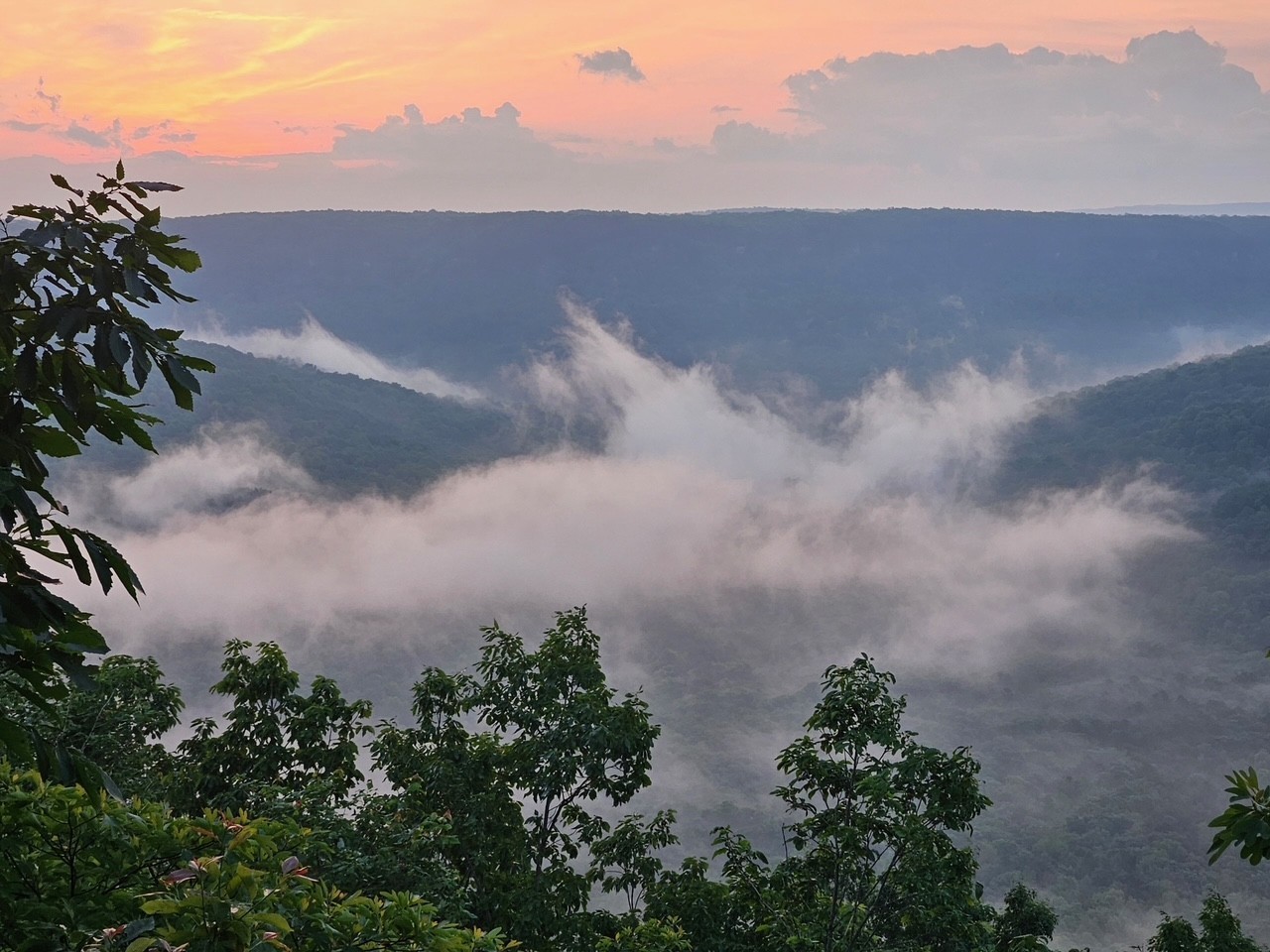 0 Grassy Ridge Road Lot 4 Beersheba Springs TN 37305