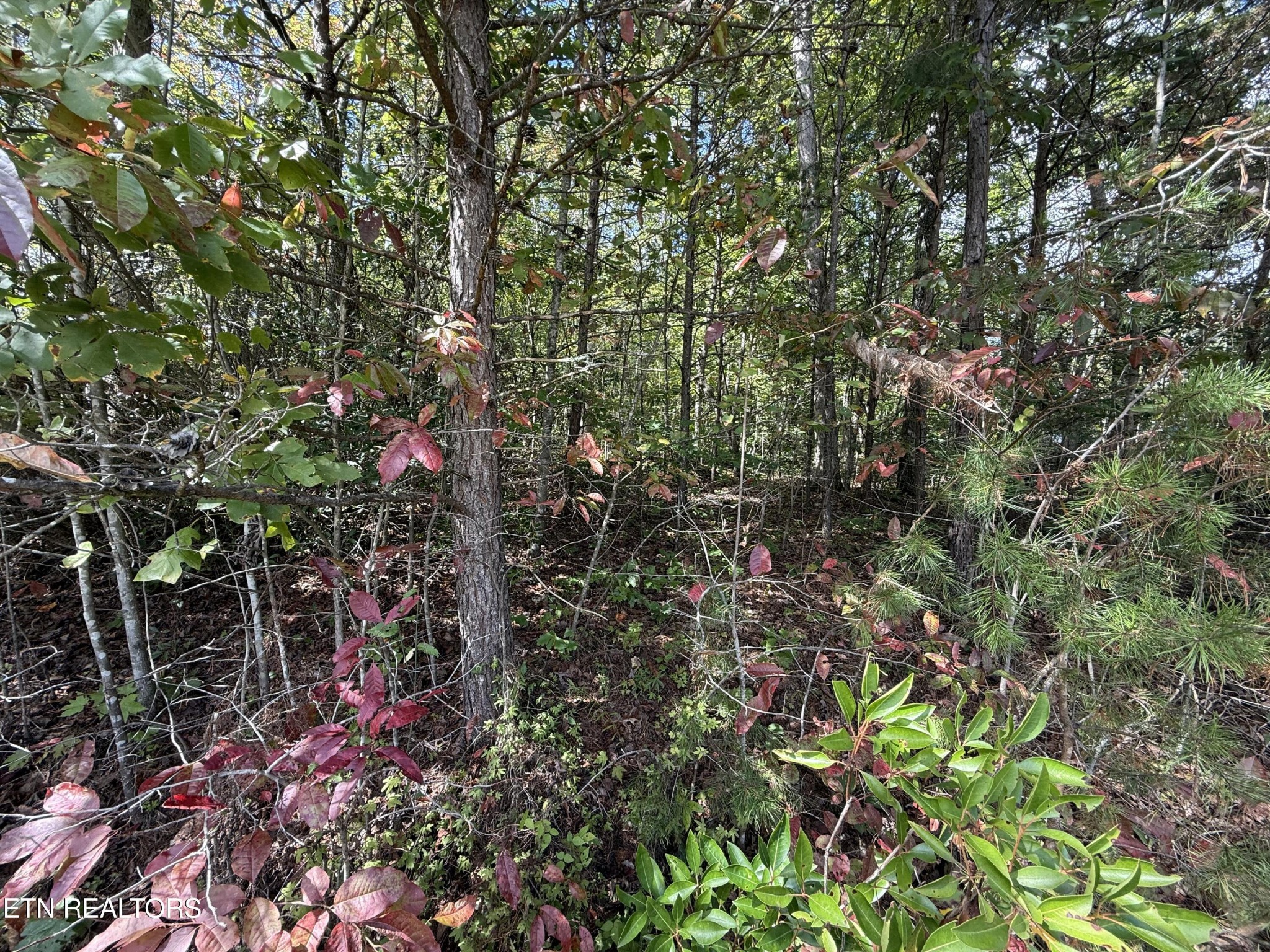 0 Northwood Place Jamestown TN 38556