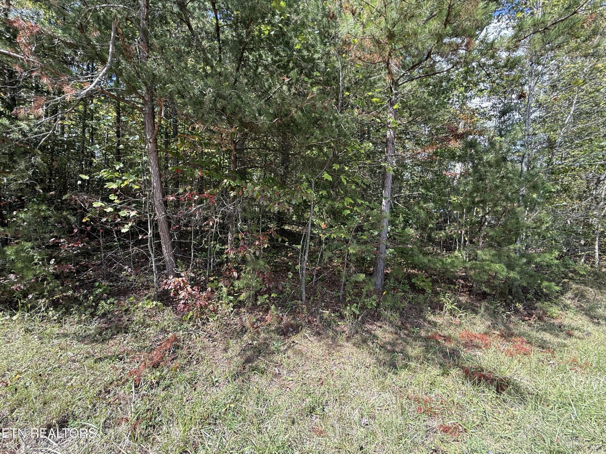 0 Northwood Place Jamestown TN 38556