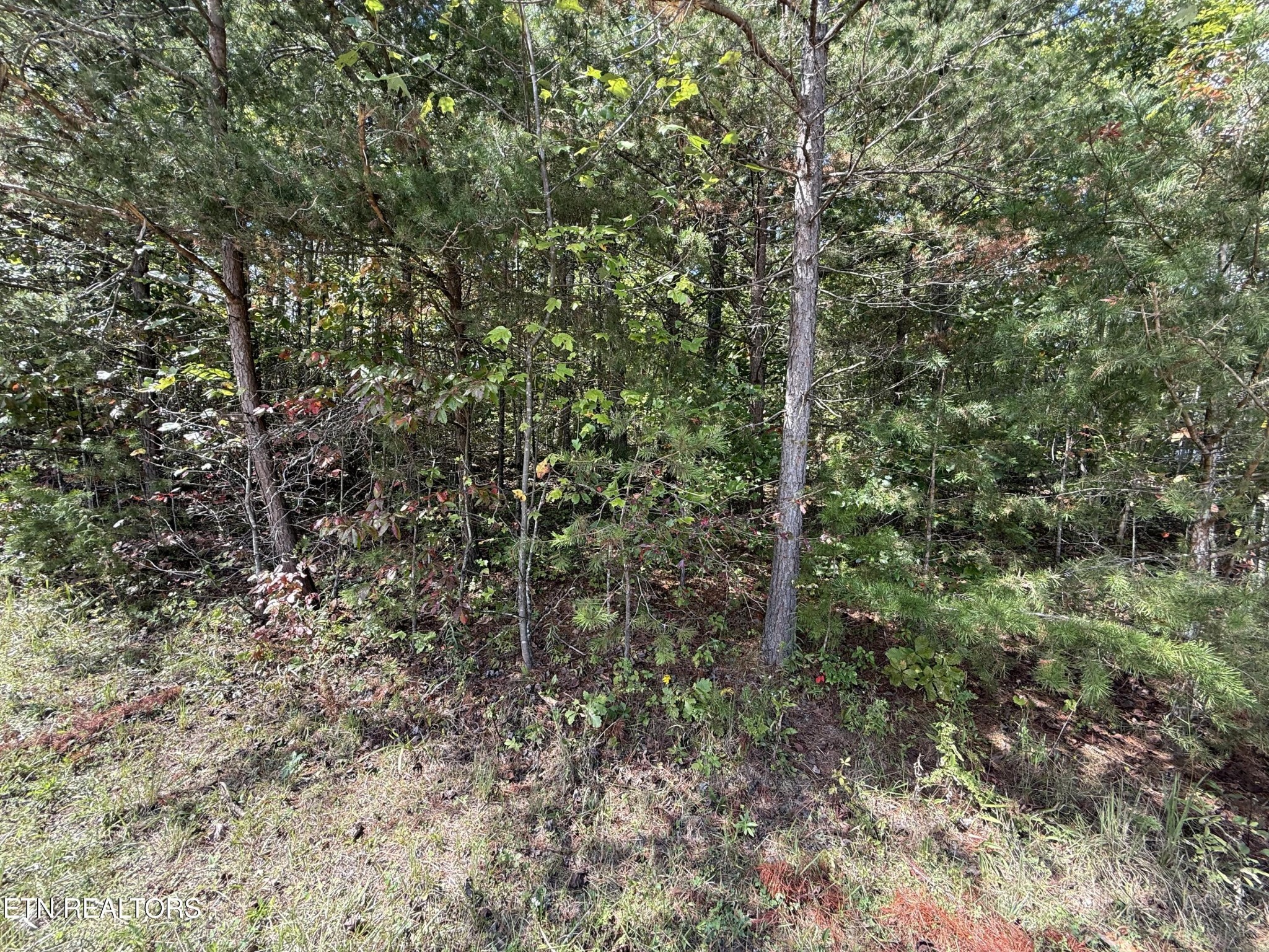 0 Northwood Place Jamestown TN 38556
