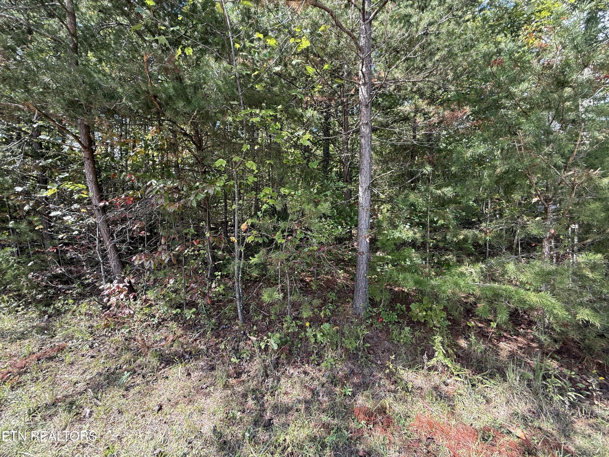 0 Northwood Place Jamestown TN 38556