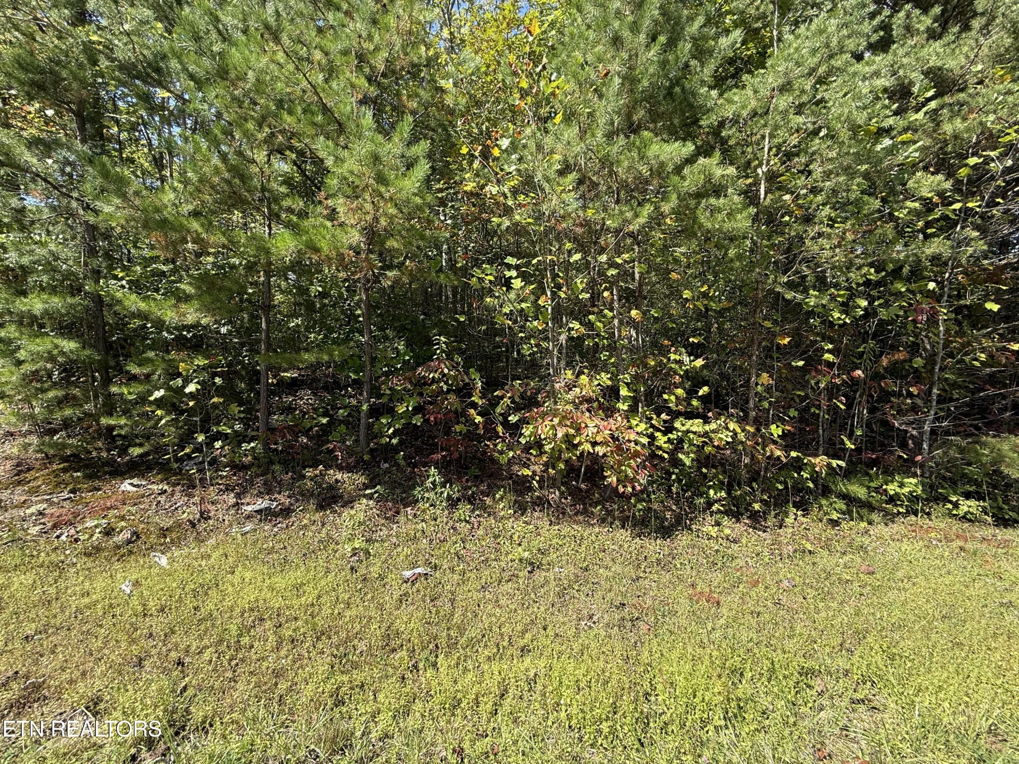 0 Northwood Place Jamestown TN 38556