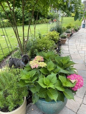 100 Point Circle Tullahoma TN 37388