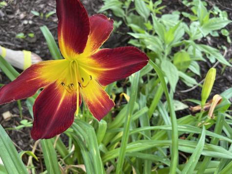 100 Point Circle Tullahoma TN 37388