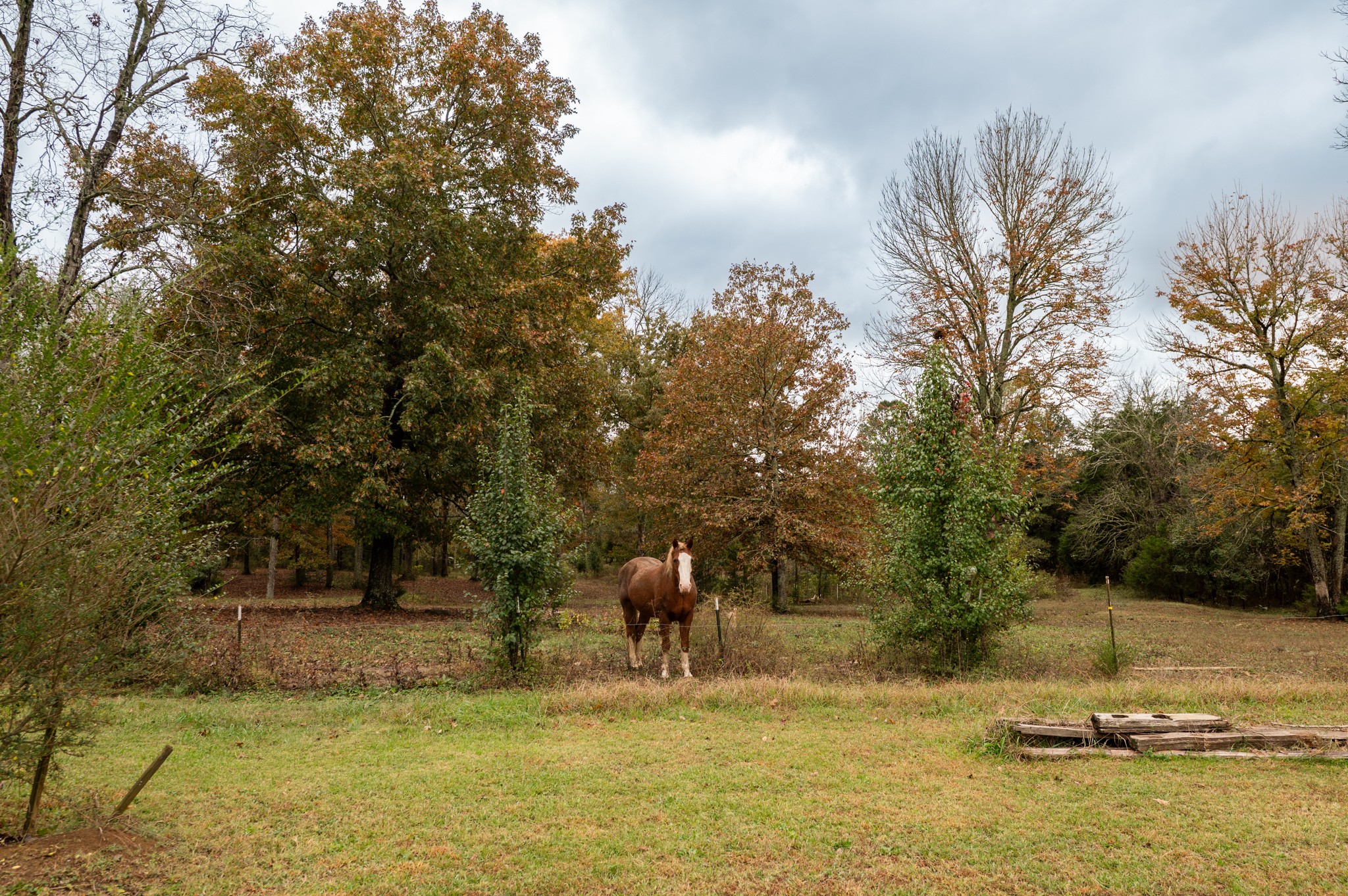 253 Halls Mill Road Chickamauga GA 30707
