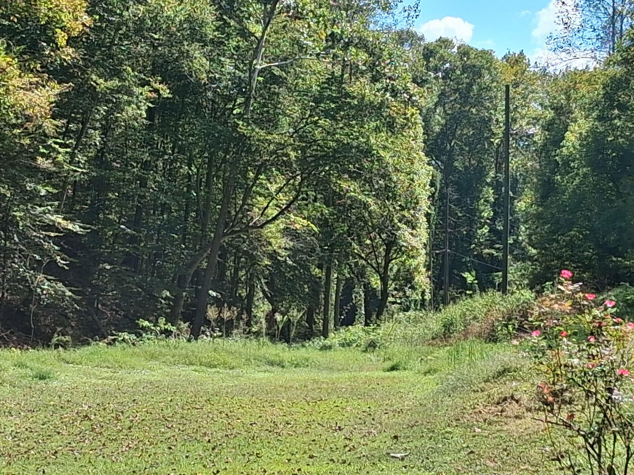 341 Acorn Gap Road Sweetwater TN 37874