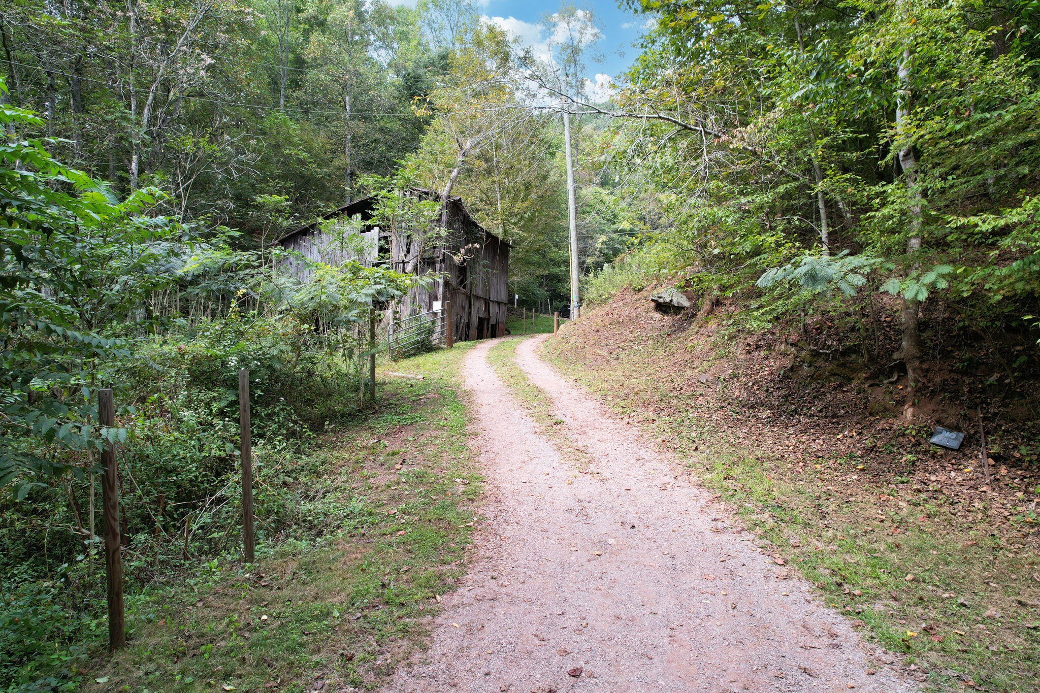341 Acorn Gap Road Sweetwater TN 37874