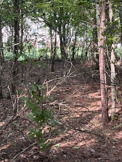 667 Maple Bend Road Winchester TN 37398