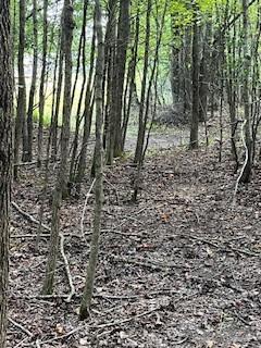 667 Maple Bend Road Winchester TN 37398