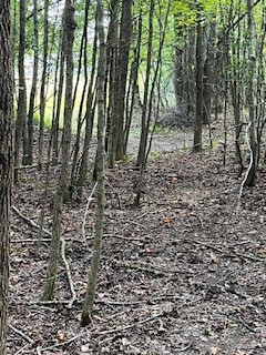 667 Maple Bend Road Winchester TN 37398
