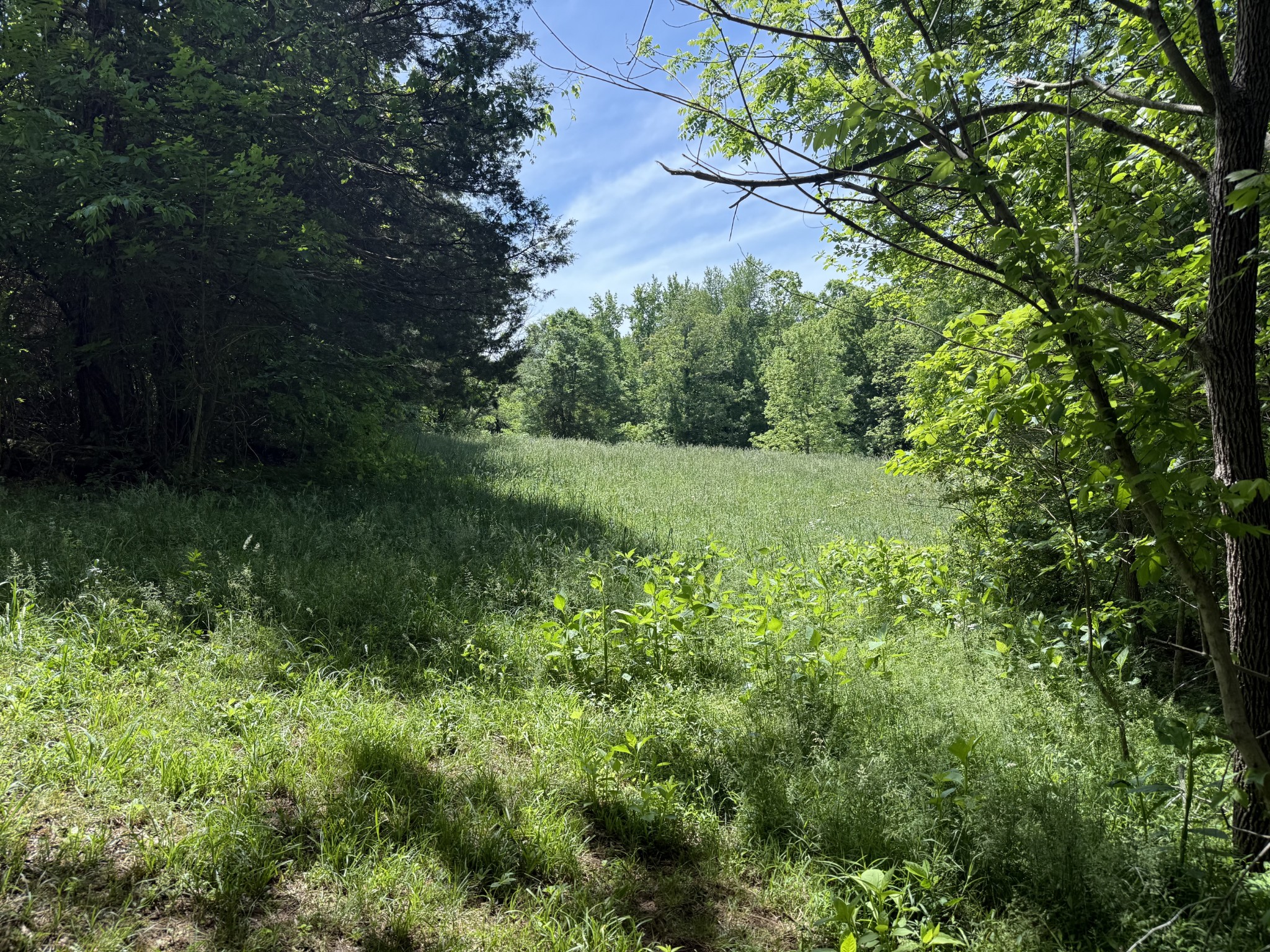335 Nelson Cemetery Road Monroe TN 38573