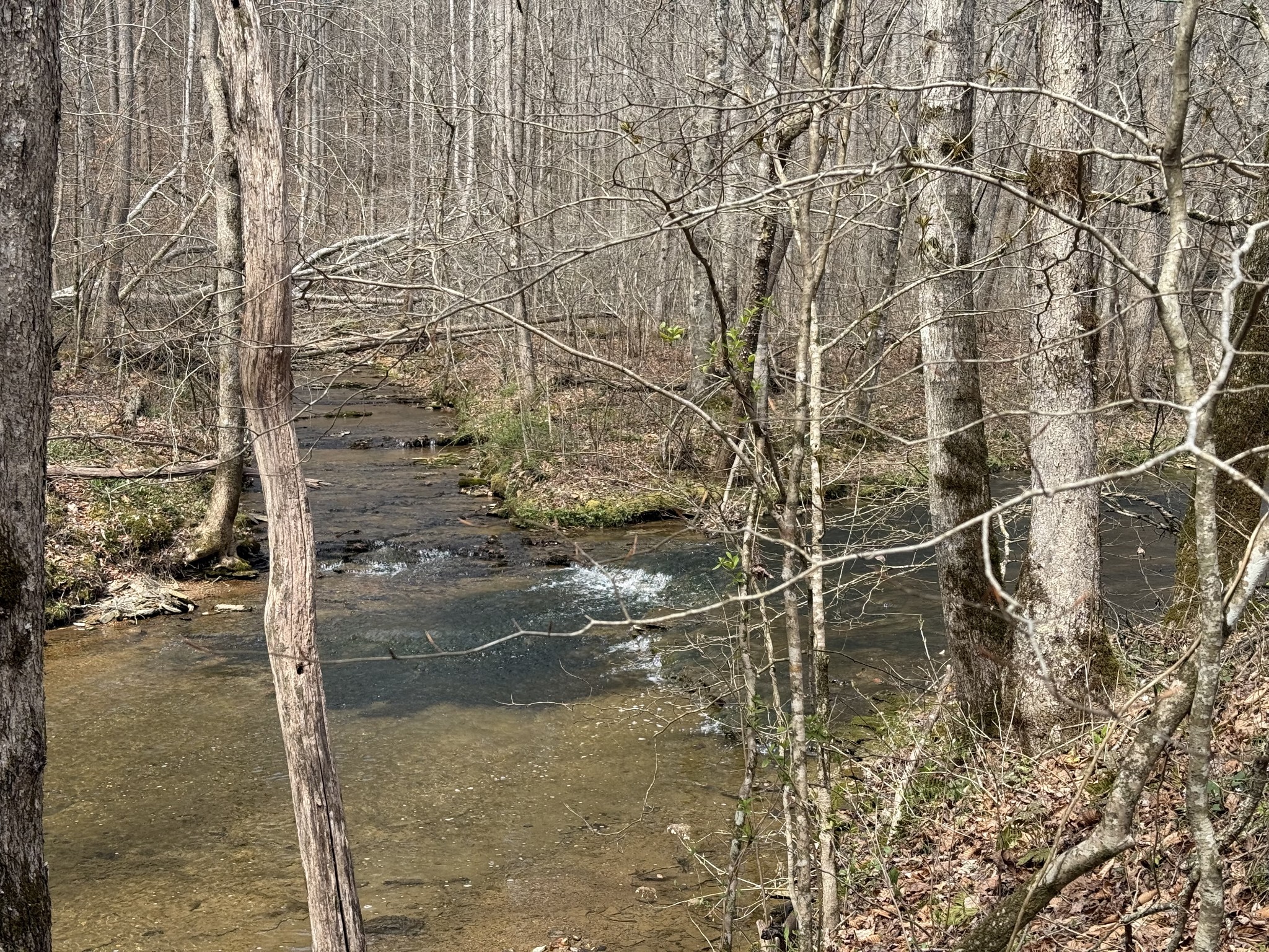 335 Nelson Cemetery Road Monroe TN 38573