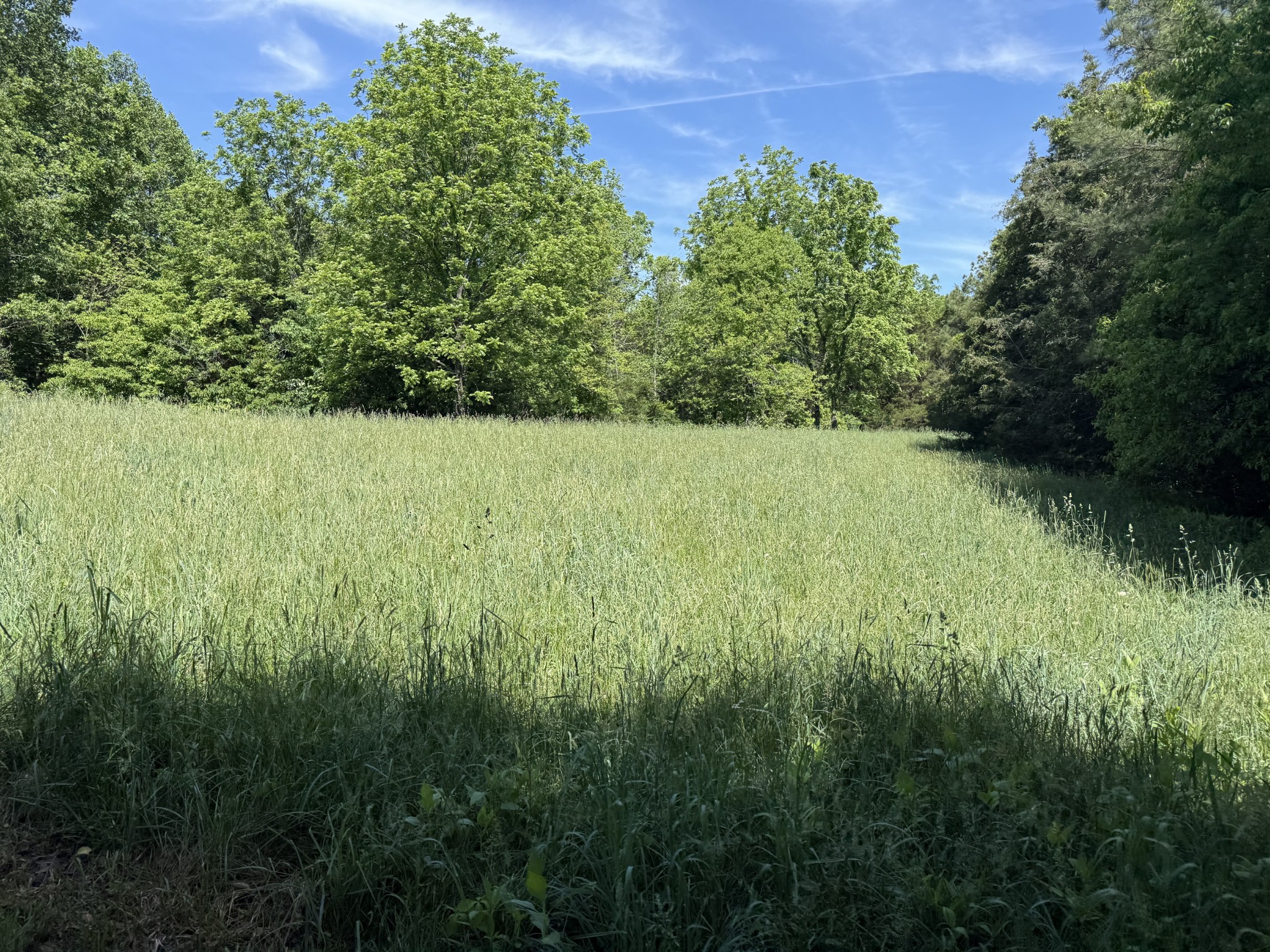 335 Nelson Cemetery Road Monroe TN 38573