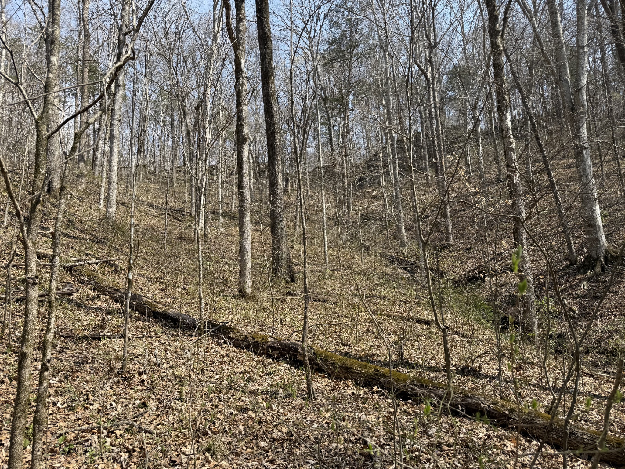 335 Nelson Cemetery Road Monroe TN 38573