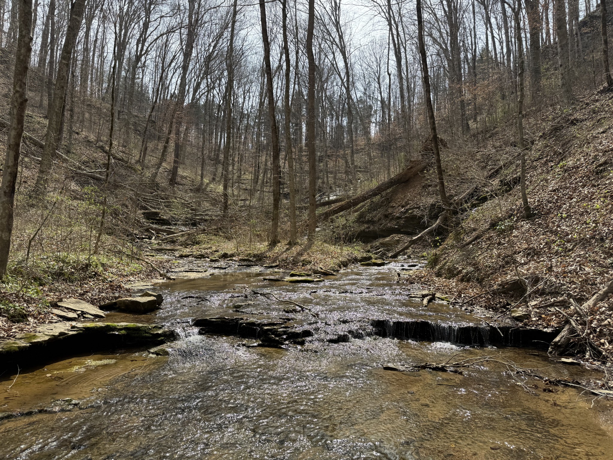 335 Nelson Cemetery Road Monroe TN 38573
