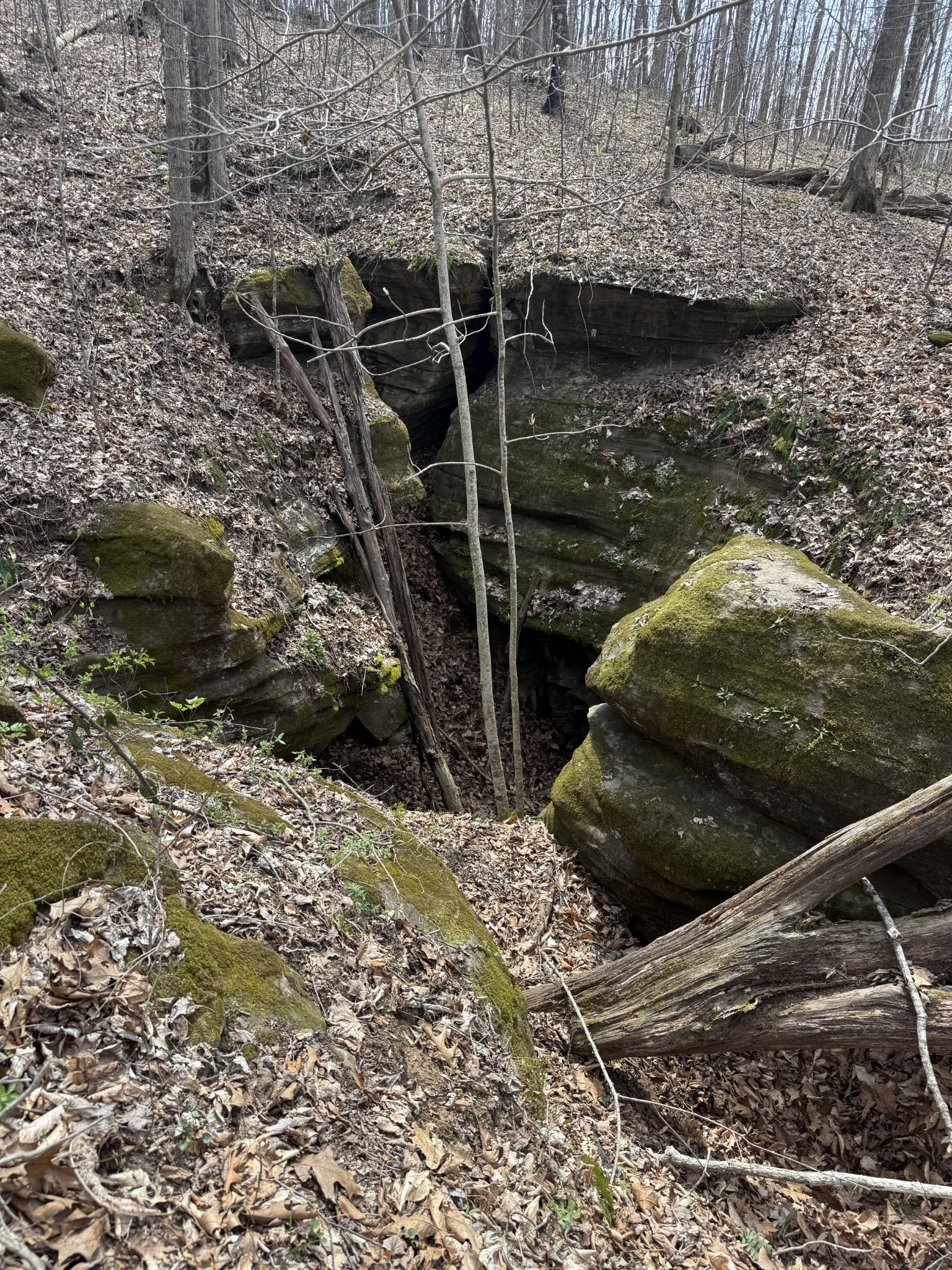 335 Nelson Cemetery Road Monroe TN 38573