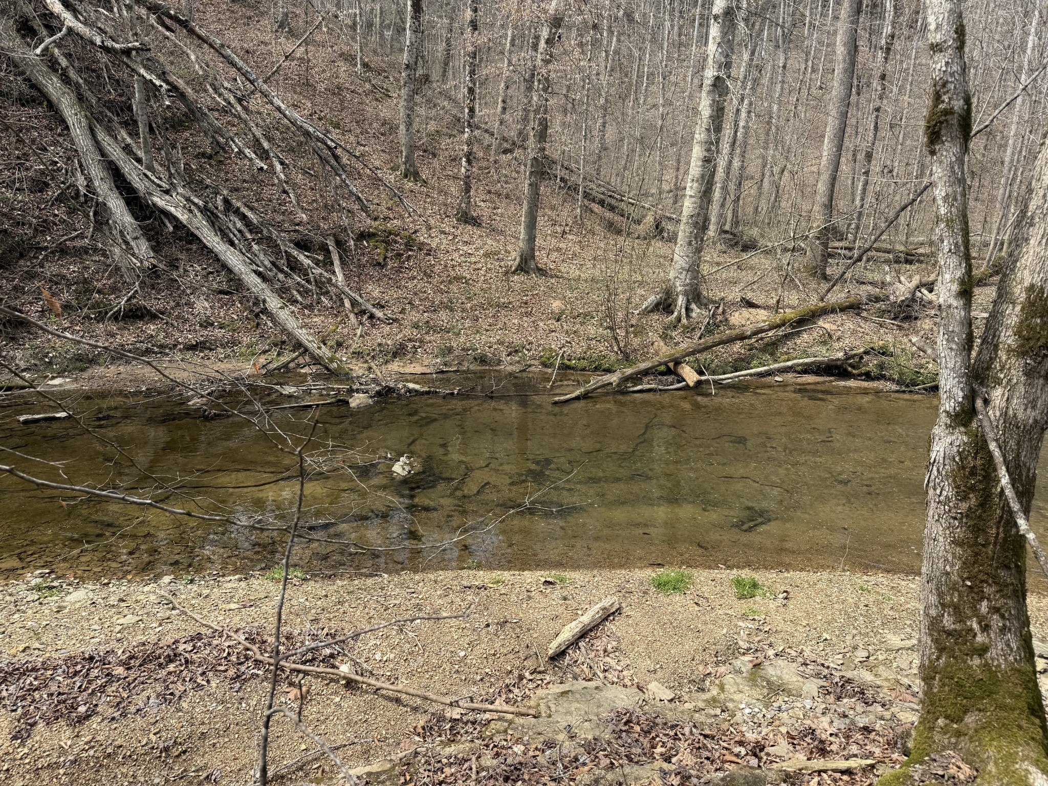335 Nelson Cemetery Road Monroe TN 38573