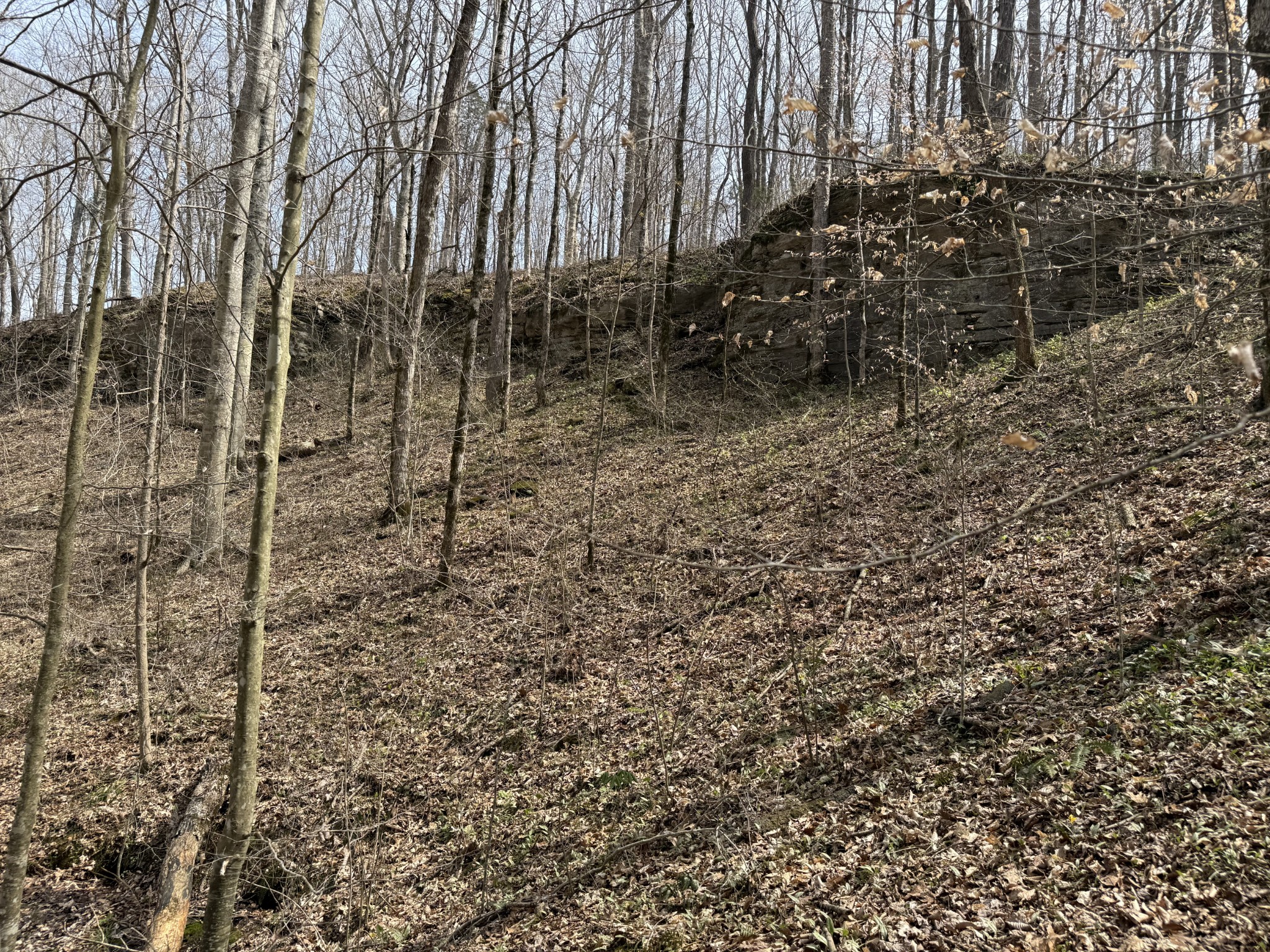 335 Nelson Cemetery Road Monroe TN 38573