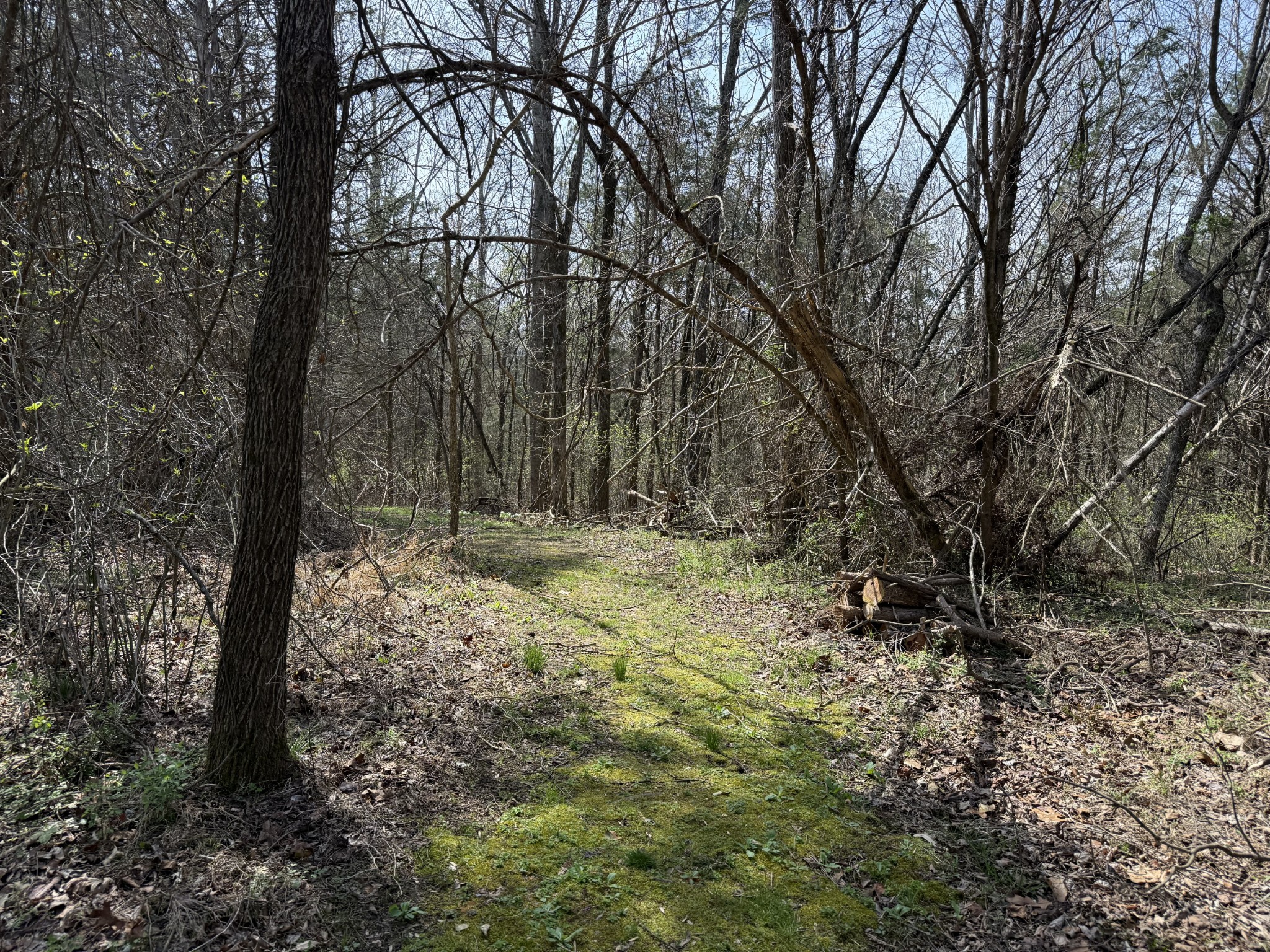 335 Nelson Cemetery Road Monroe TN 38573