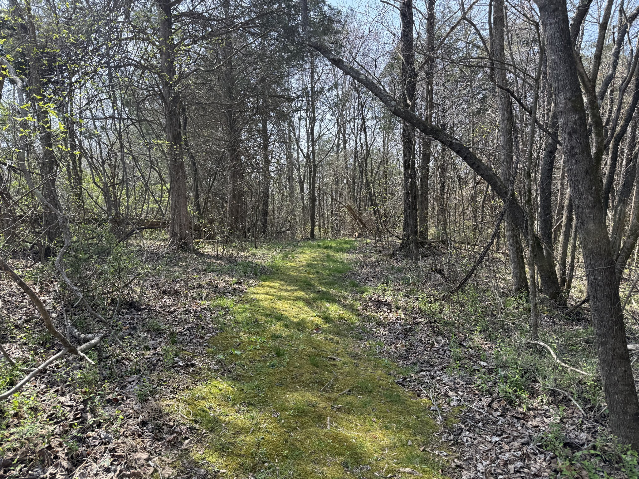 335 Nelson Cemetery Road Monroe TN 38573