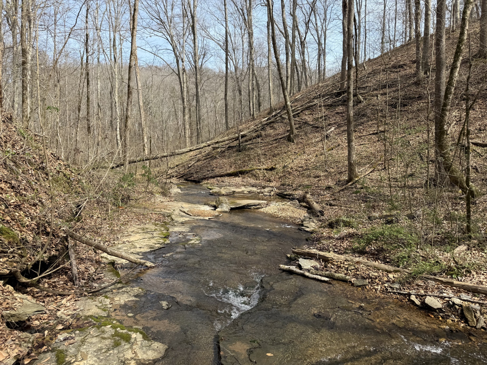 335 Nelson Cemetery Road Monroe TN 38573