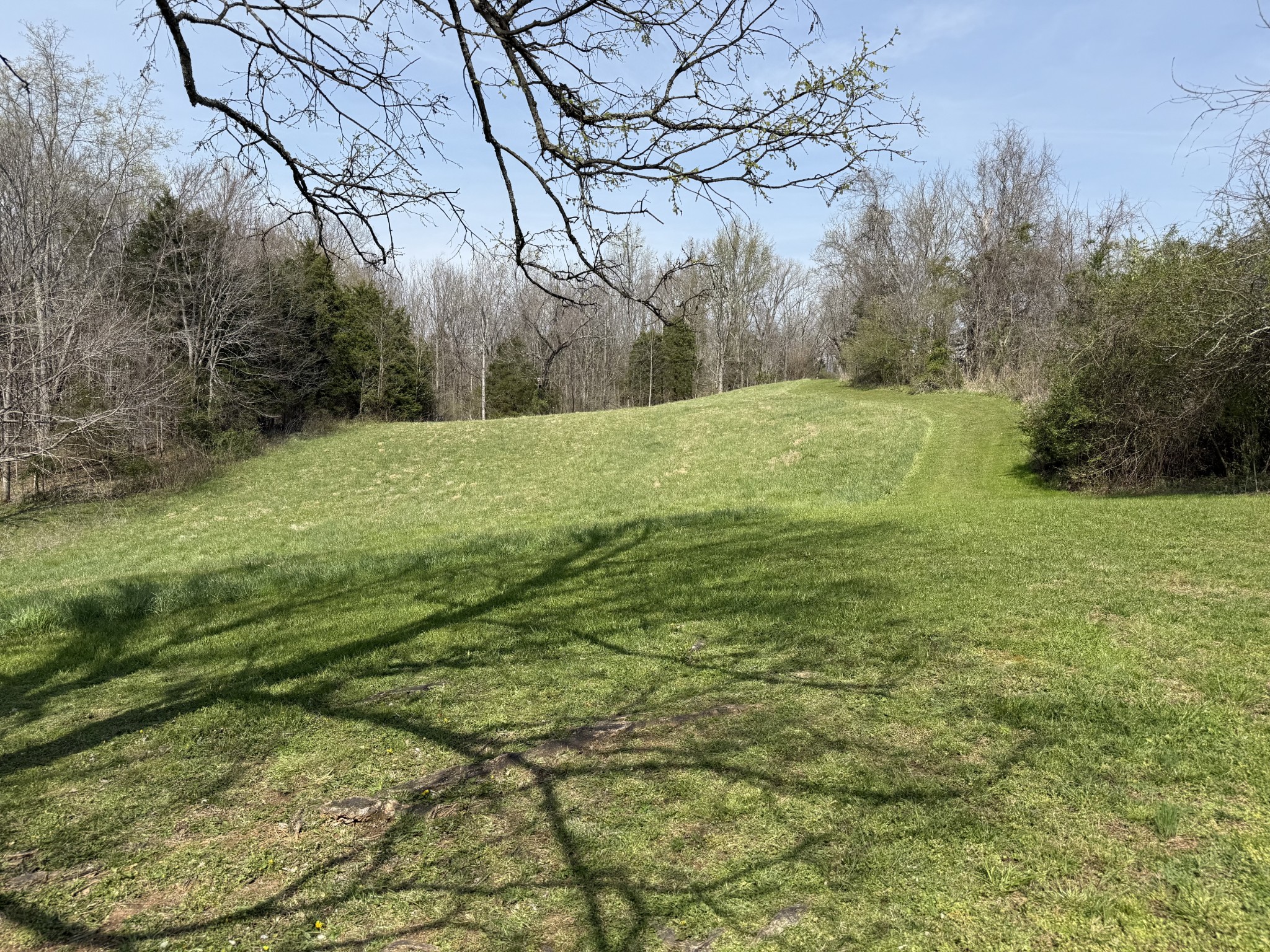 335 Nelson Cemetery Road Monroe TN 38573