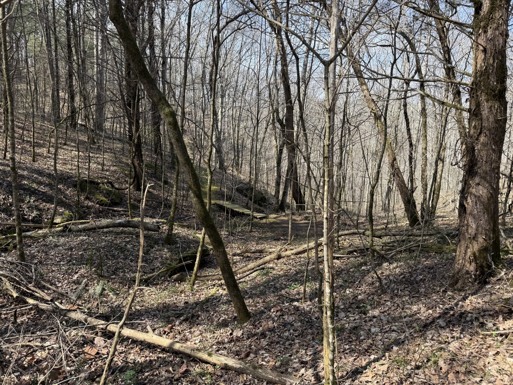 335 Nelson Cemetery Road Monroe TN 38573