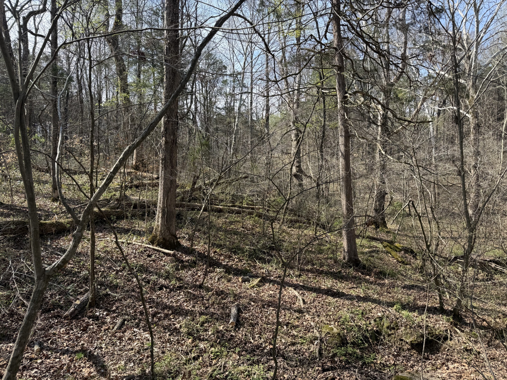 335 Nelson Cemetery Road Monroe TN 38573