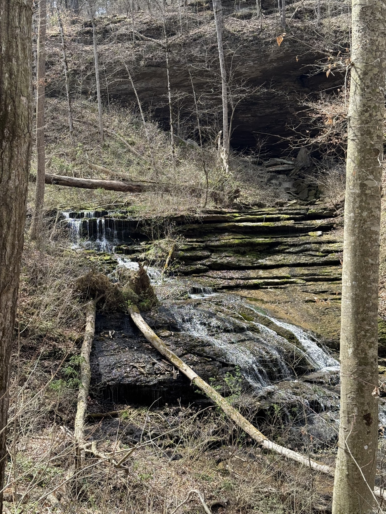 335 Nelson Cemetery Road Monroe TN 38573