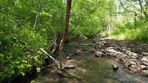 3795 Wayland Springs Road Iron City TN 38463