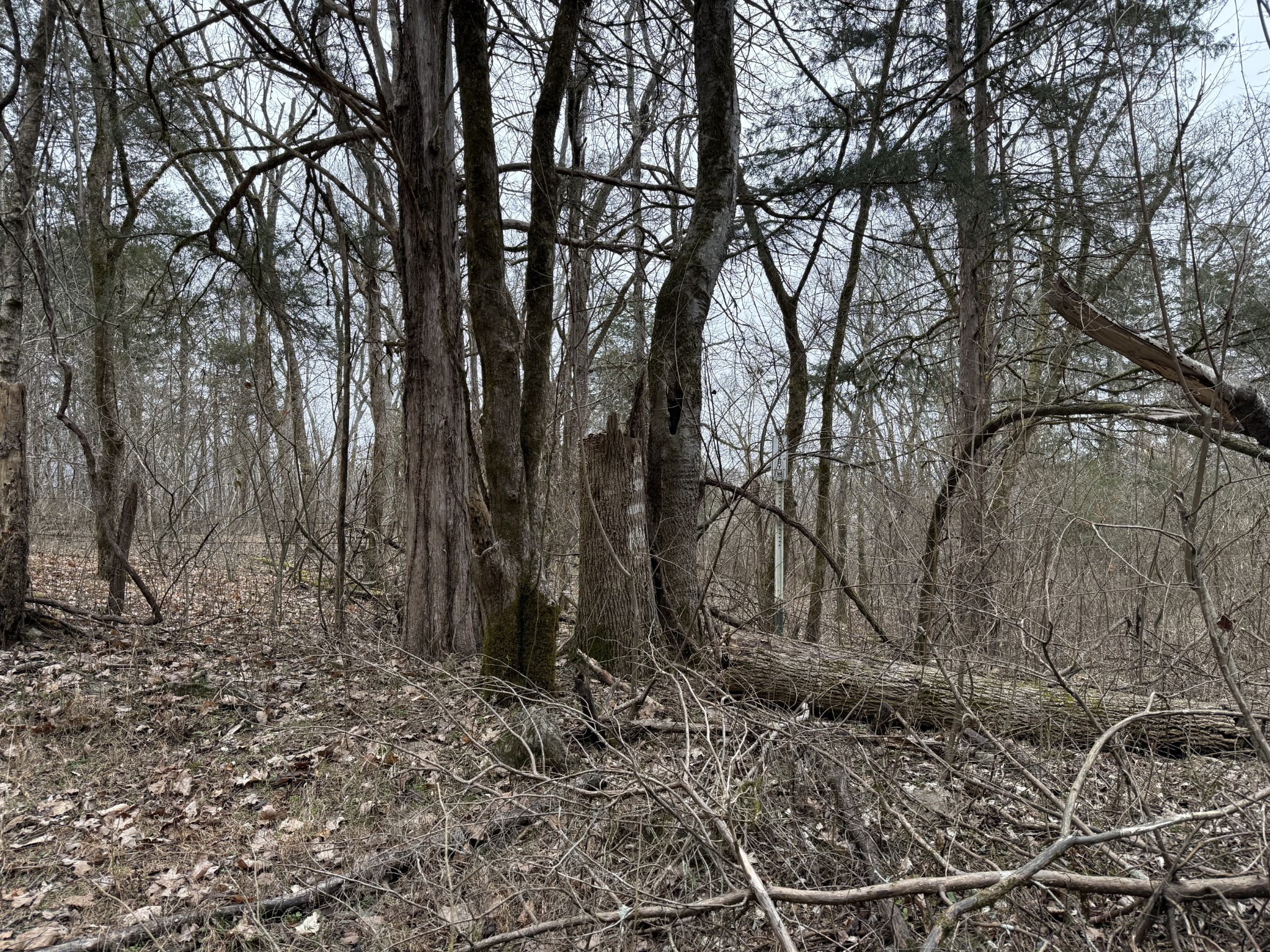 0 Cook Lane Gainesboro TN 38562