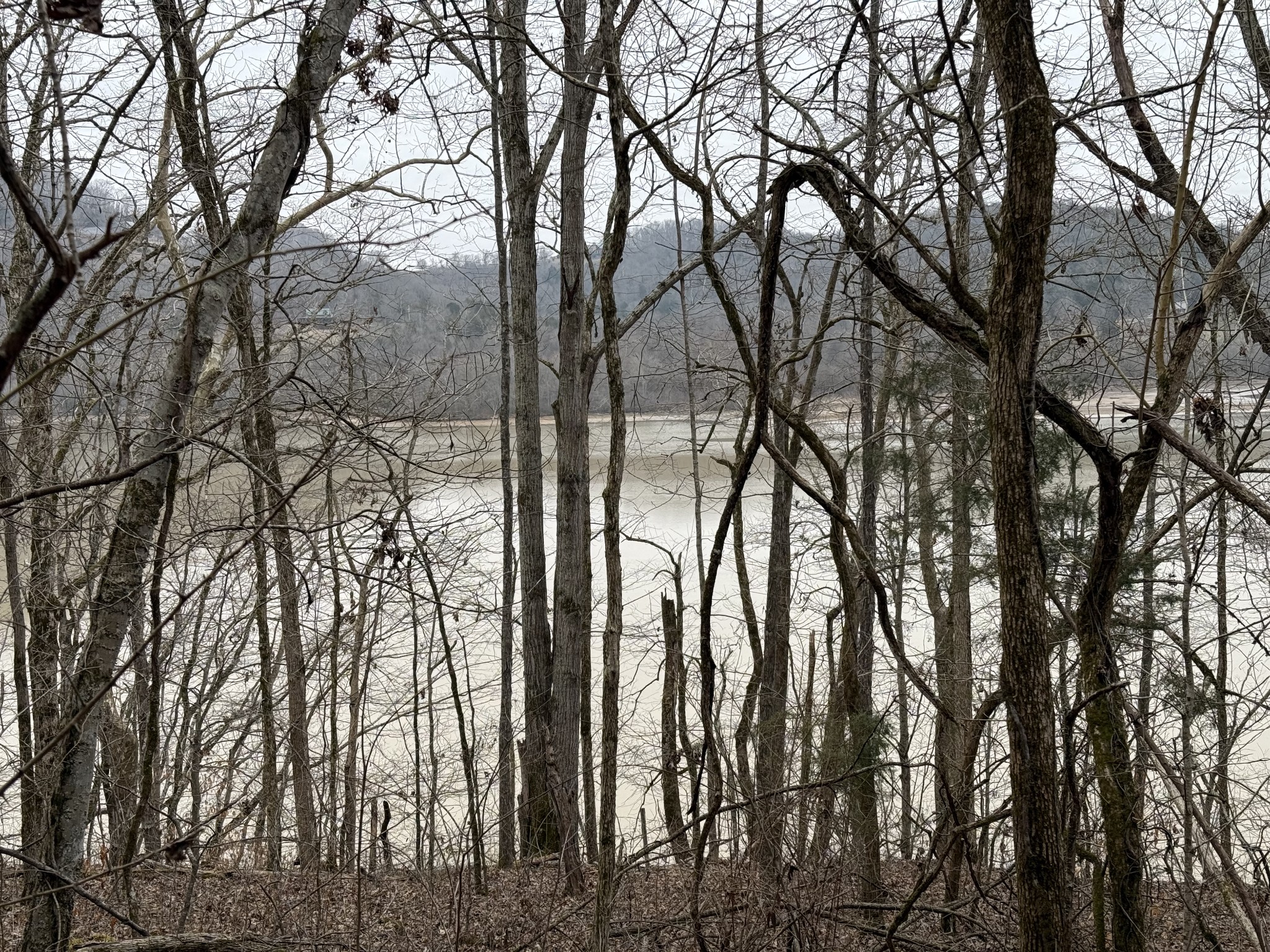 0 Cook Lane Gainesboro TN 38562