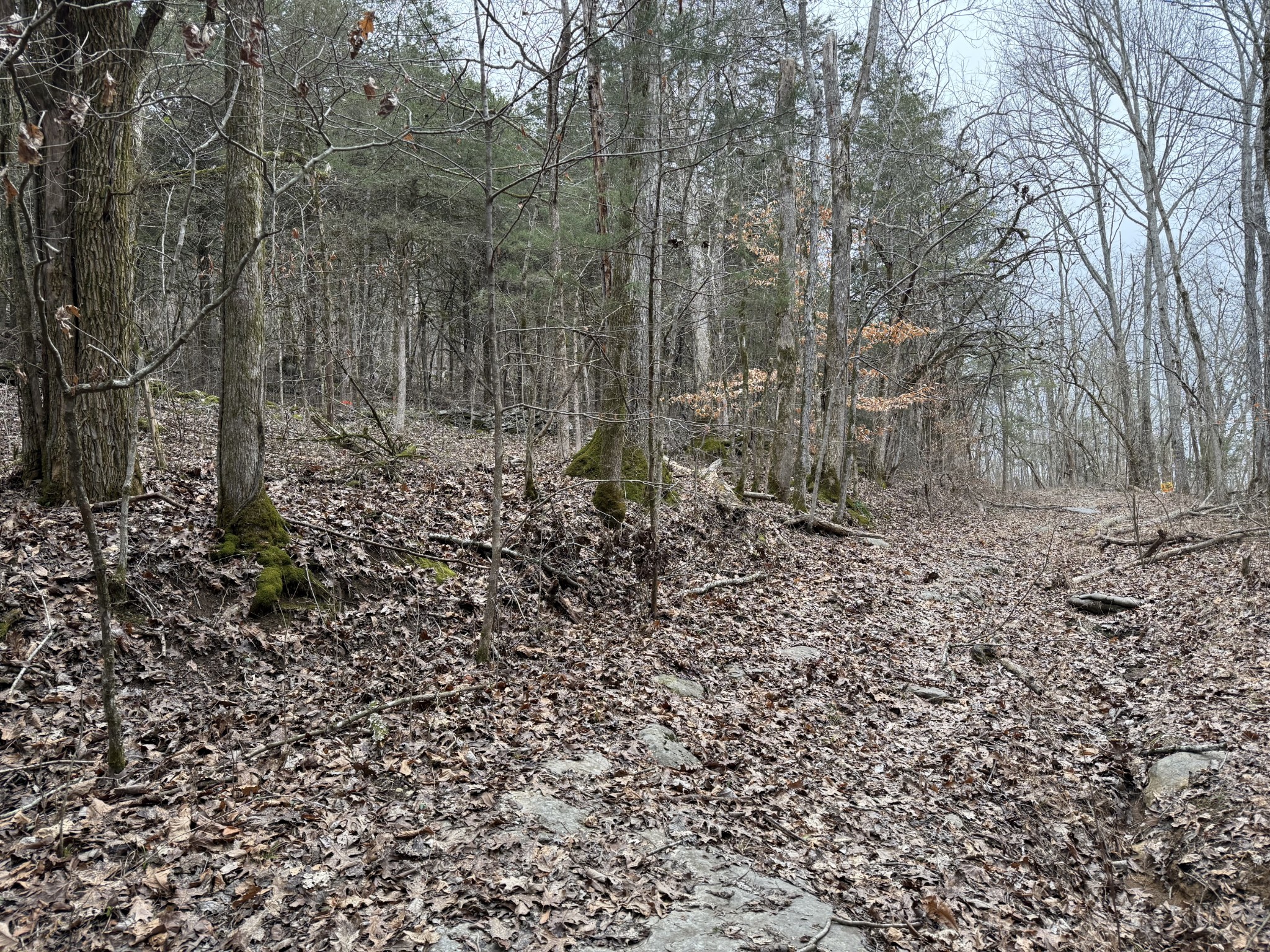 0 Cook Lane Gainesboro TN 38562