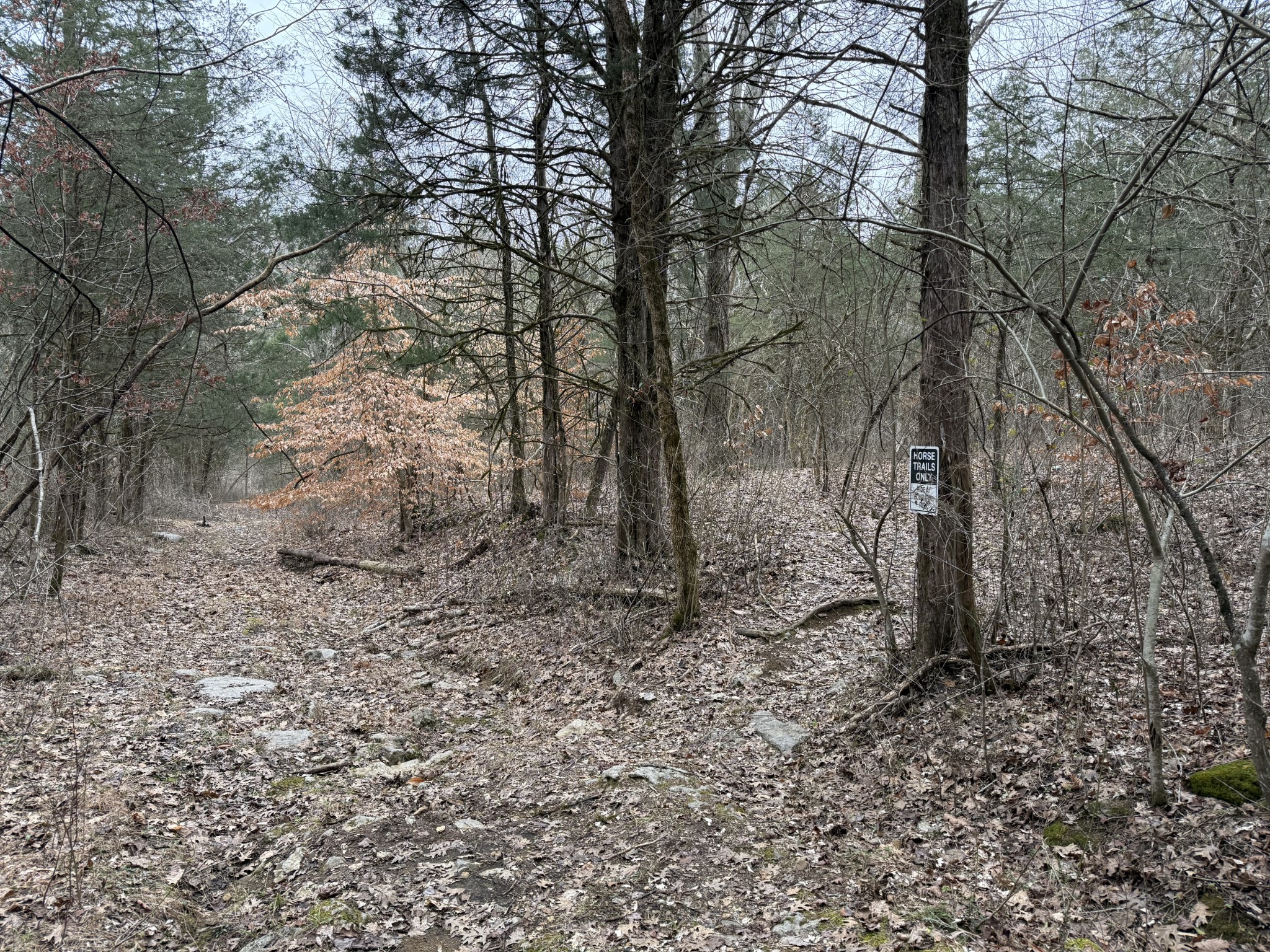 0 Cook Lane Gainesboro TN 38562