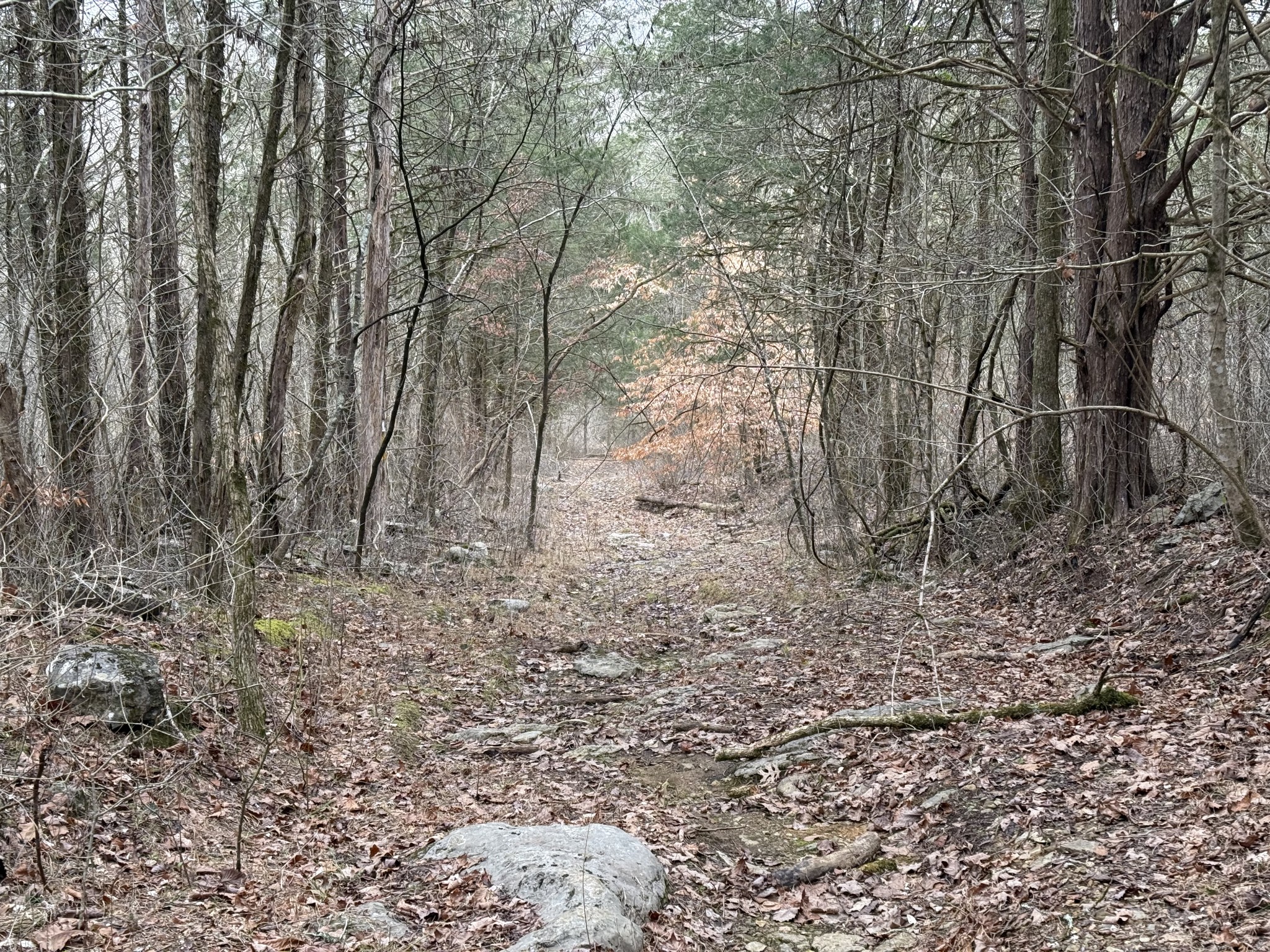0 Cook Lane Gainesboro TN 38562