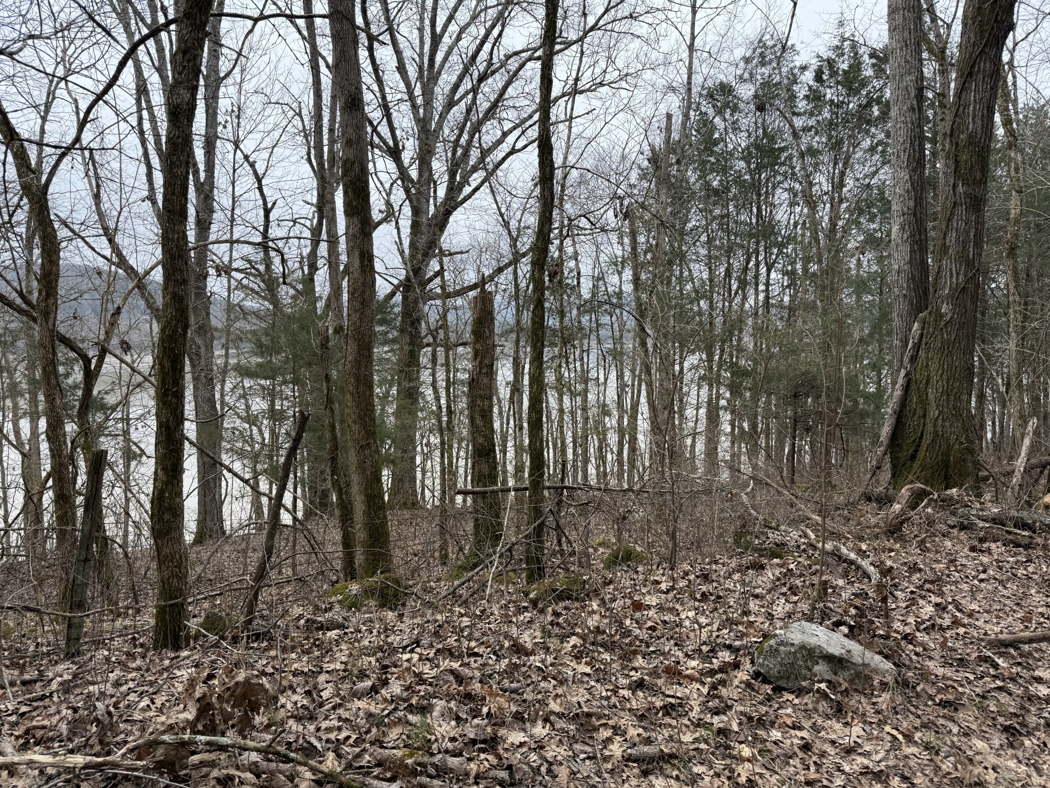 0 Cook Lane Gainesboro TN 38562