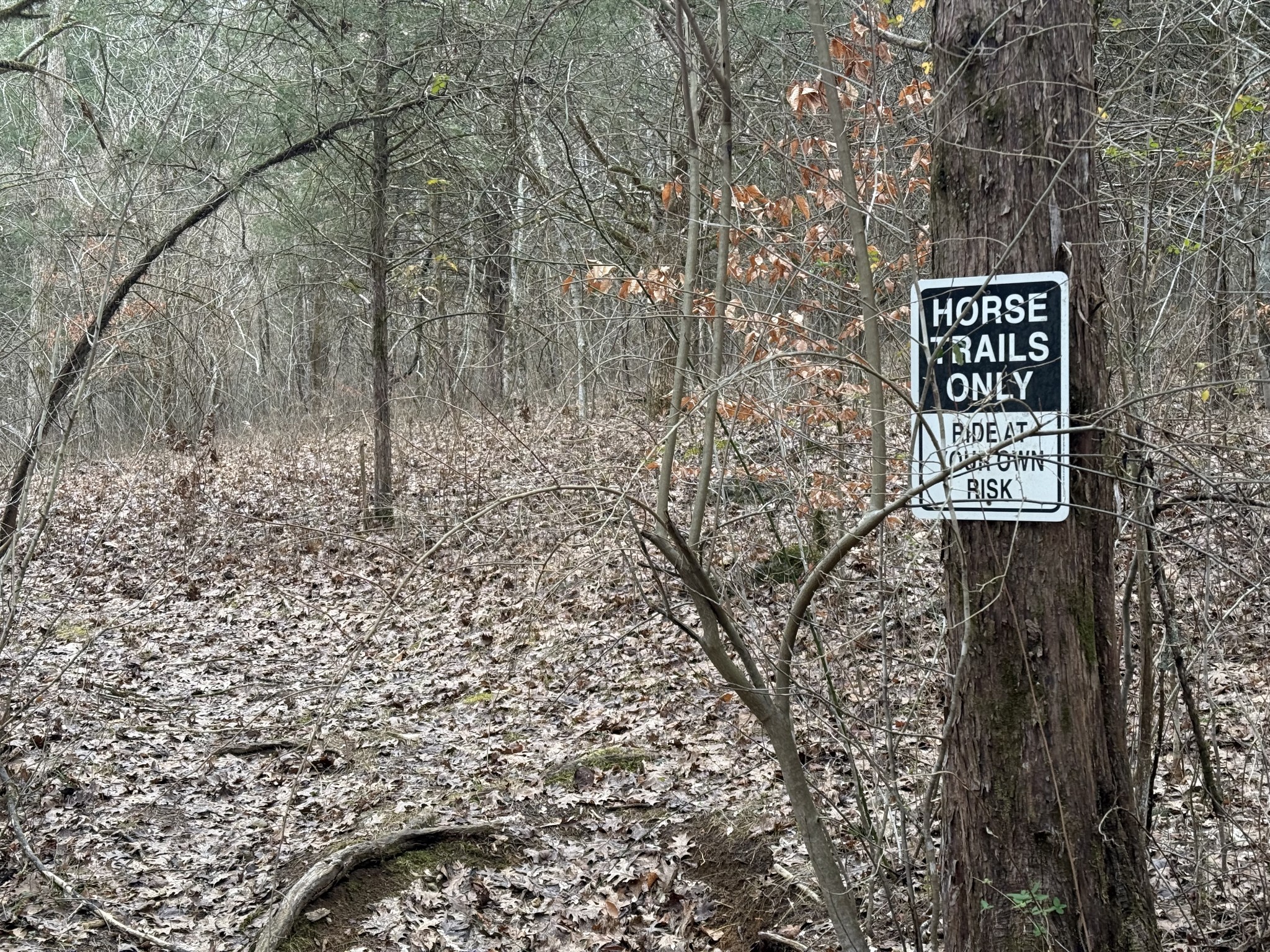 0 Cook Lane Gainesboro TN 38562