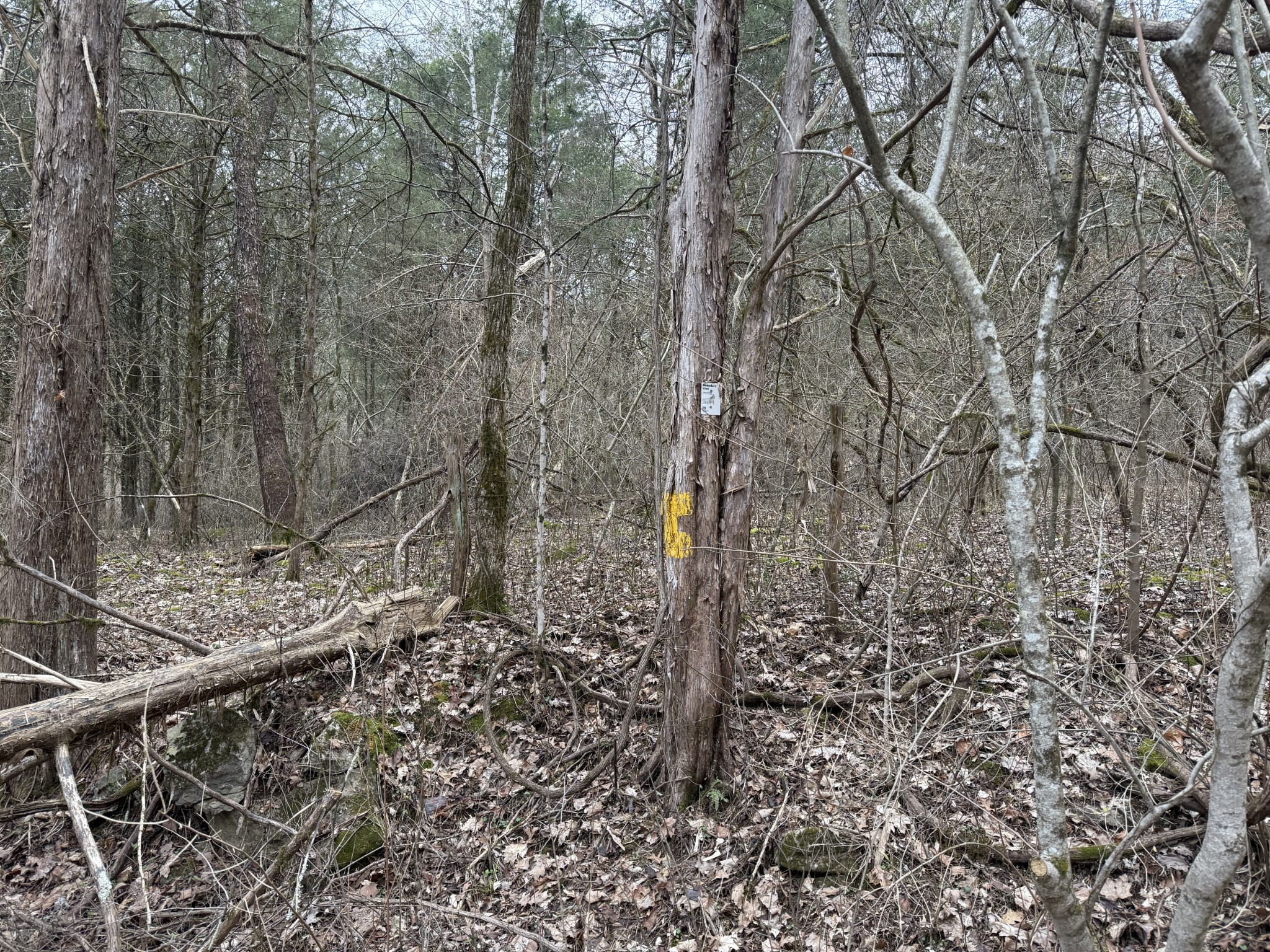 0 Cook Lane Gainesboro TN 38562