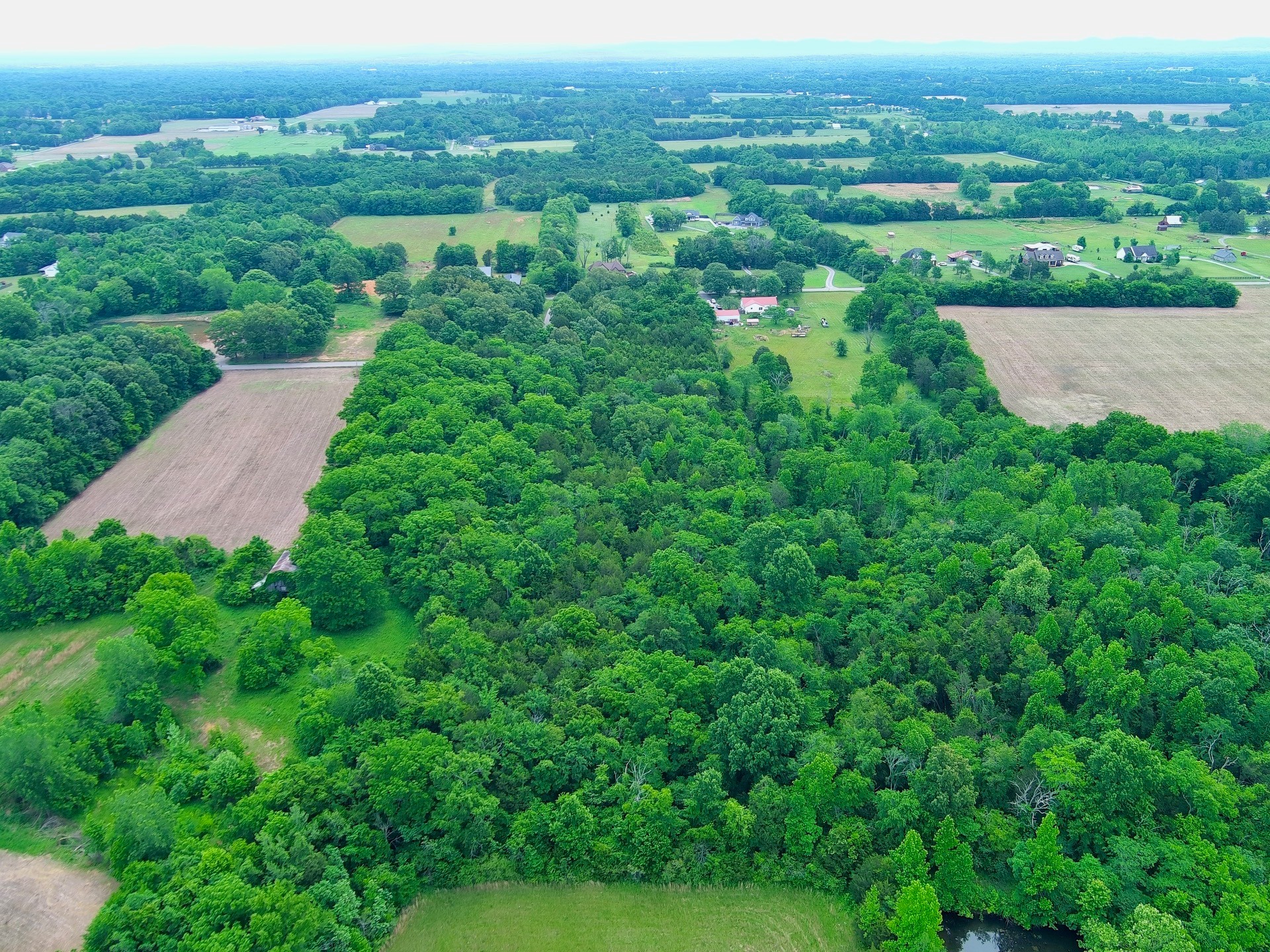 0 Newtown Road Unionville TN 37180