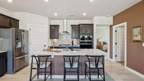 426 Wild Iris Way Spring Hill TN 37174