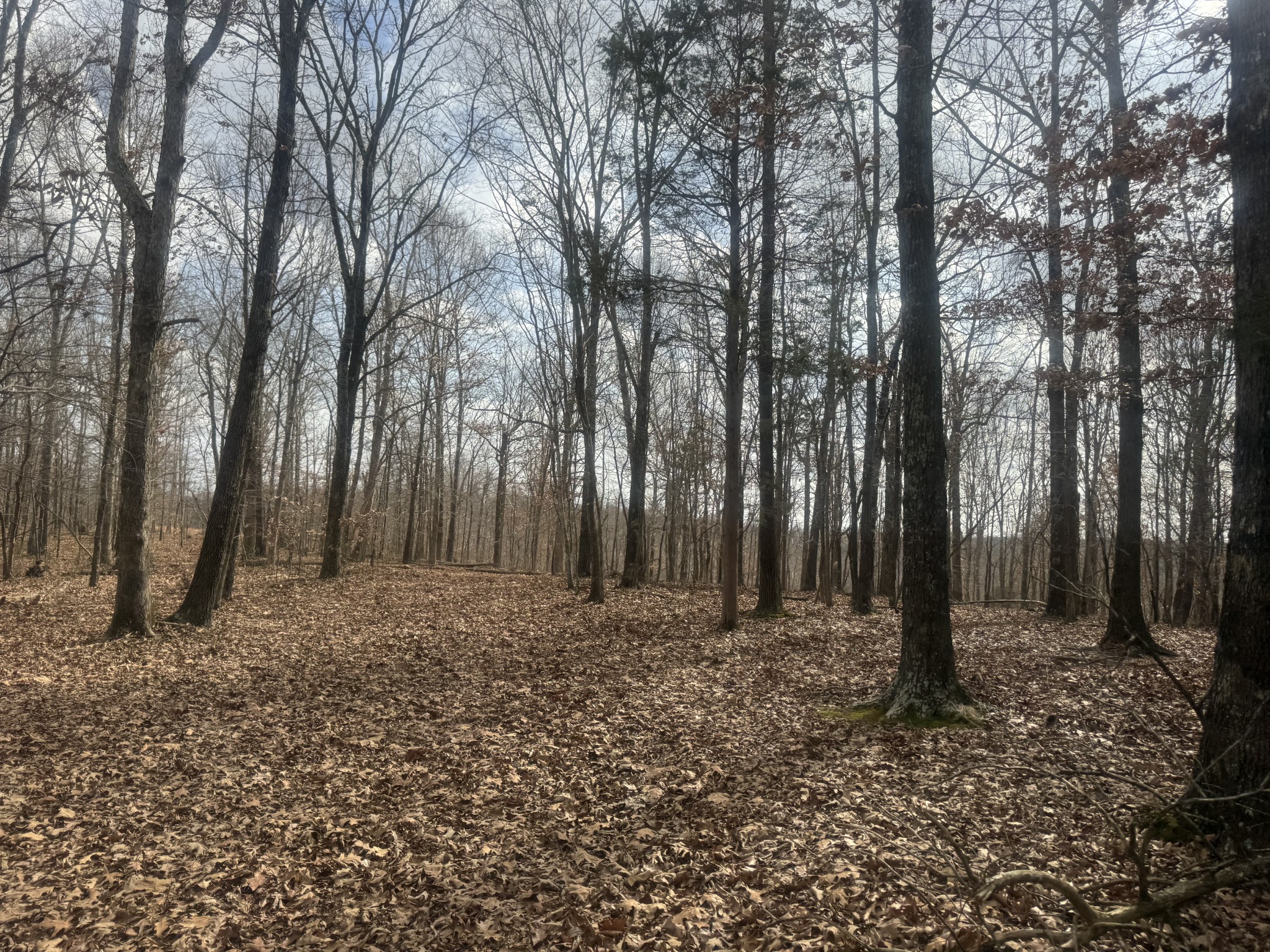 323 Graham Road Cumberland City TN 37050
