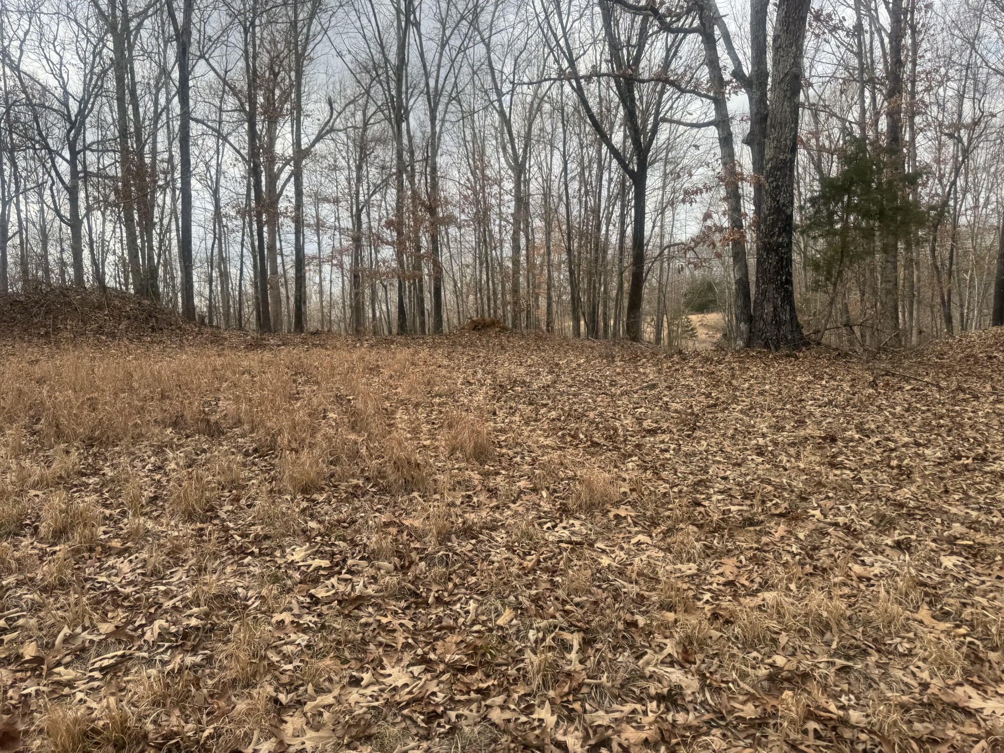 323 Graham Road Cumberland City TN 37050