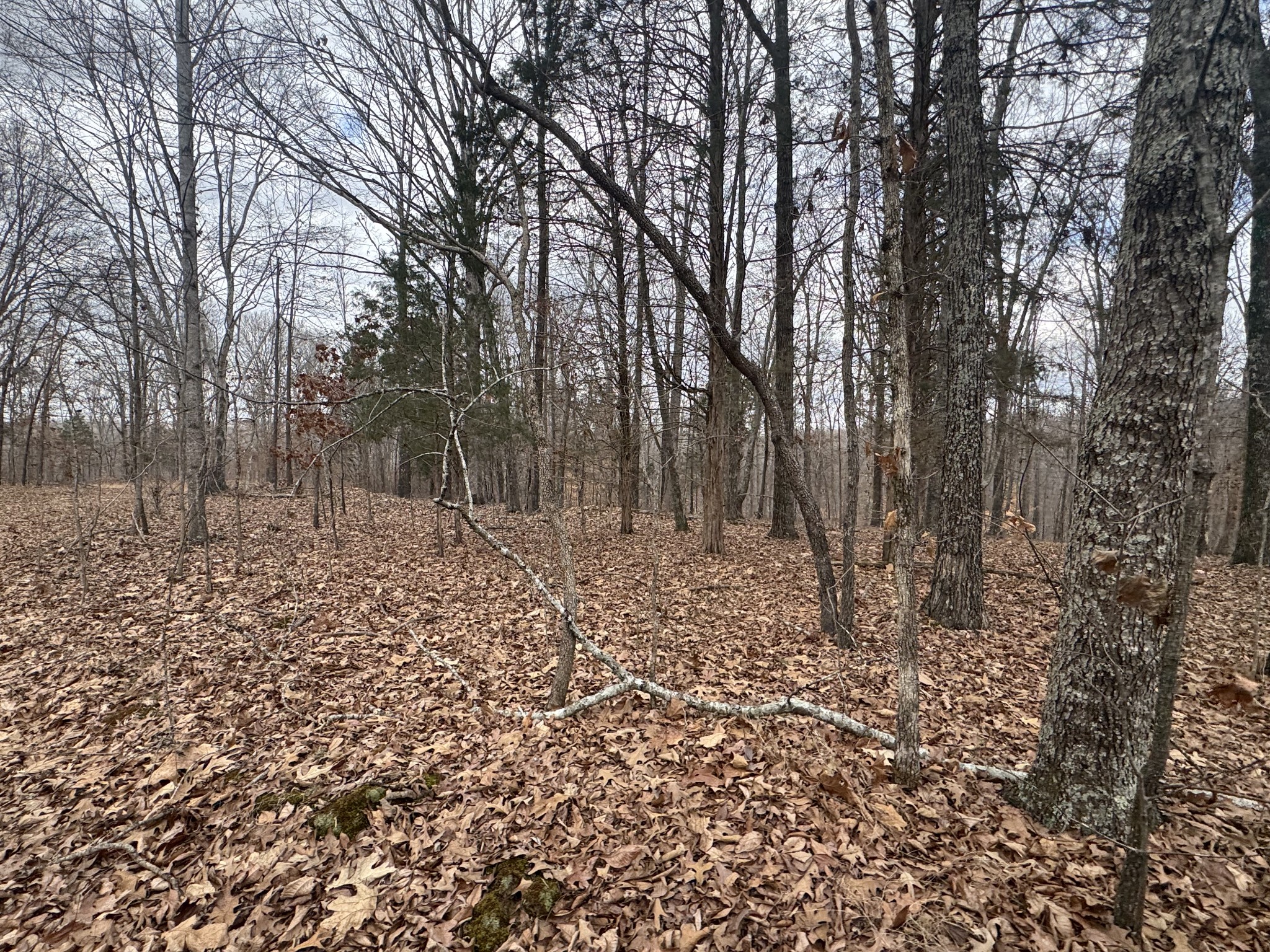 323 Graham Road Cumberland City TN 37050