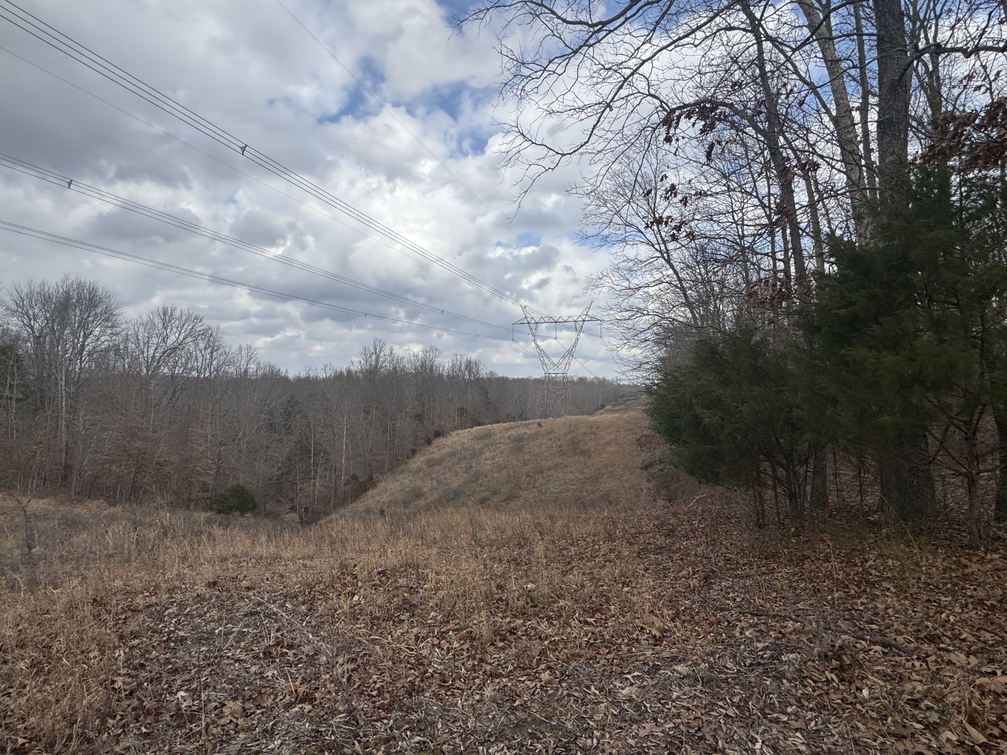 323 Graham Road Cumberland City TN 37050